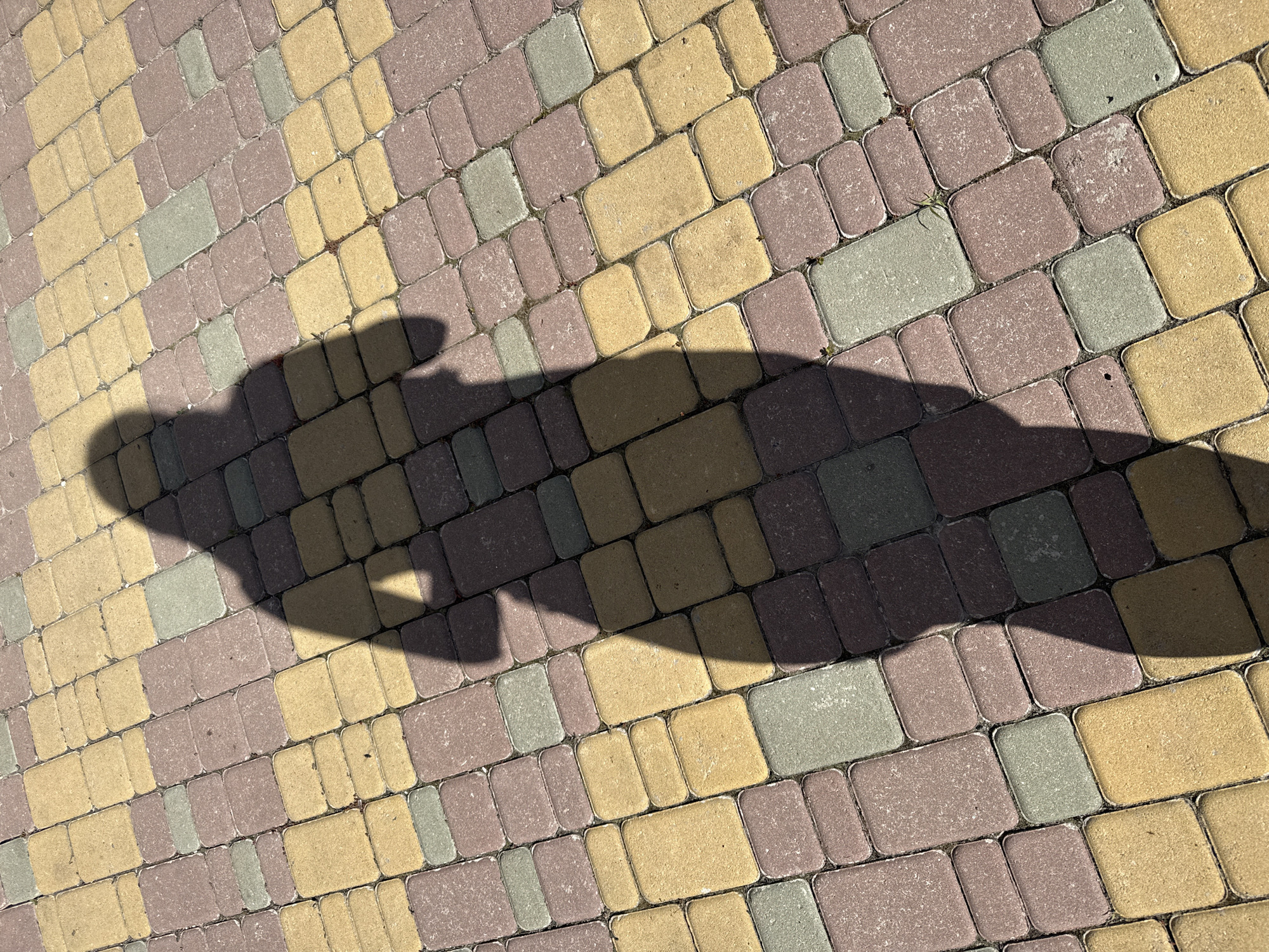 The image shows a shadow cast on a paved walkway. The walkway is made of rectangular interlocking pavers in varying shades of yellow, pink, and green. The shadow appears to be from a person standing, casting a distinct outline of a head and upper body. The lighting suggests it is daytime, likely late morning or afternoon due to the long, sharp shadow. The scene is outdoors, with the paved surface indicating a public space, park, or residential area. No text is visible in the image. The overall mood is neutral, focusing on the interplay of light and shadow on the textured surface.