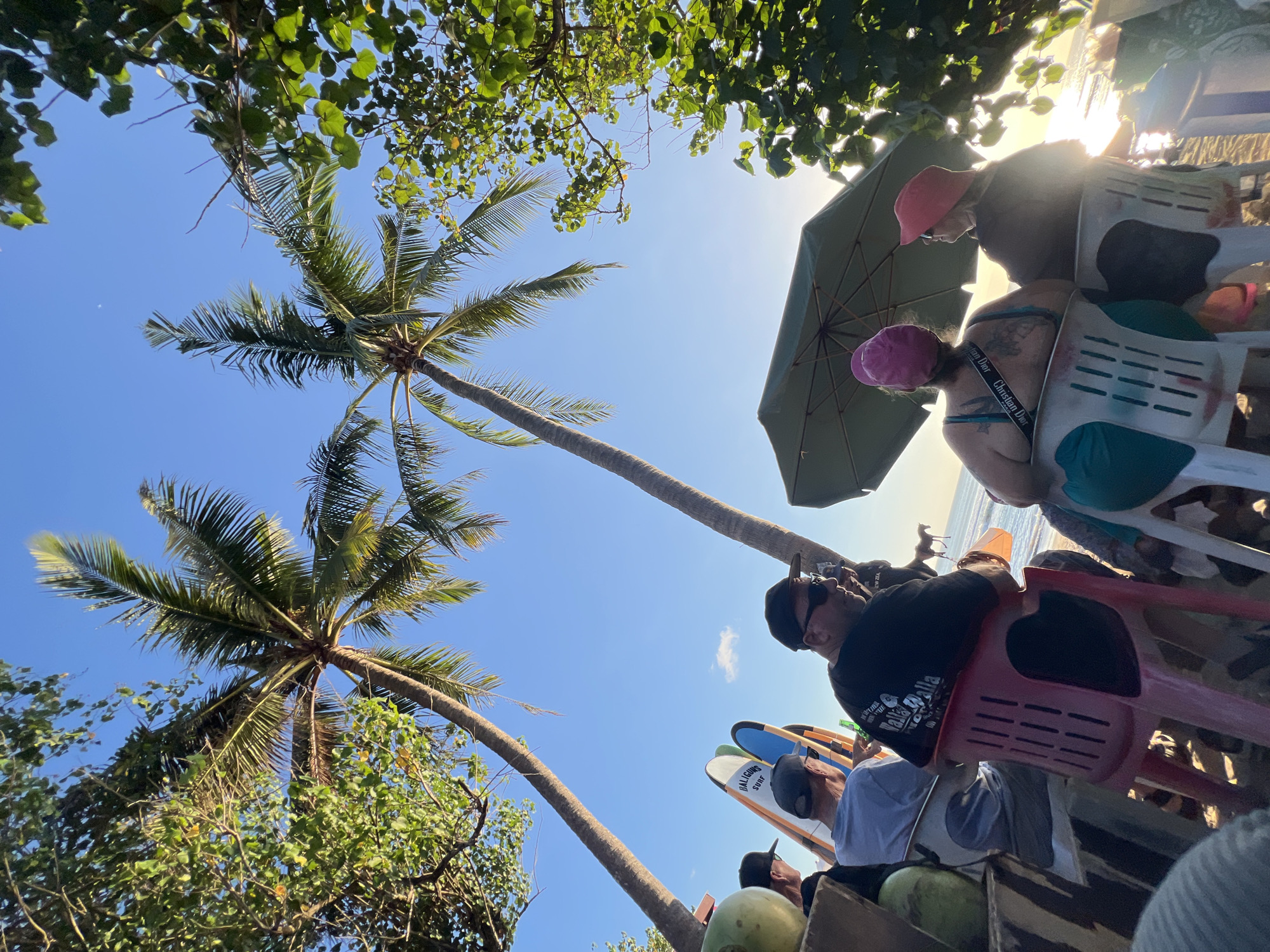 The image depicts a group of people seated on chairs at a beachside establishment in Kuta, Indonesia, under the shade of palm trees. Two tall palm trees frame the clear blue sky, with their fronds casting subtle shadows. In the foreground, several individuals are visible from behind, facing towards the ocean, where the sun is setting, creating a warm glow on the water. Some people are wearing hats, and one person has a tattoo visible on their back. Surfboards are propped up behind some of the seated individuals. An umbrella provides additional shade for a portion of the group. The overall atmosphere suggests a relaxed gathering at sunset, possibly at a bar or restaurant on the beach.