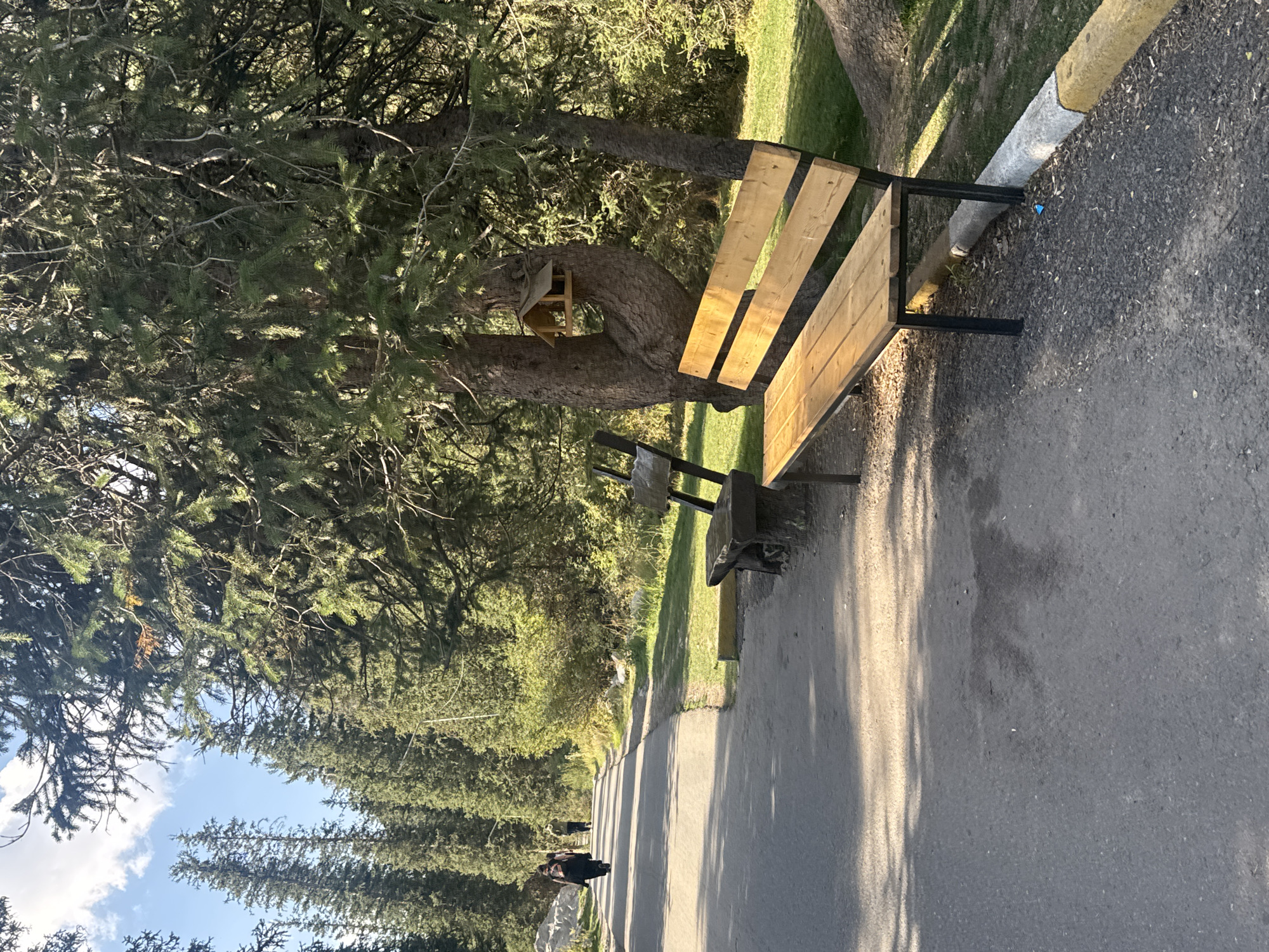 The image depicts a paved pathway in a forested area, likely a park or nature reserve, with tall evergreen trees lining the sides. The pathway is wide and appears to be well-maintained, with a light-colored gravel shoulder and a concrete curb painted with yellow and gray markings. Two benches are visible along the pathway. The first bench, closer to the foreground, is made of light-colored wood with a metal frame. The second bench, further back, is made of dark, weathered wood and has a more rustic design, with its base appearing to be made of logs. A small wooden birdhouse is attached to the trunk of a large tree behind the second bench. In the background, several individuals are walking along the pathway, suggesting a public recreational area. The environment is natural, with abundant greenery and a clear sky. The lighting suggests it is daytime, possibly late afternoon, with shadows cast on the pathway. The overall scene conveys a peaceful and natural atmosphere.