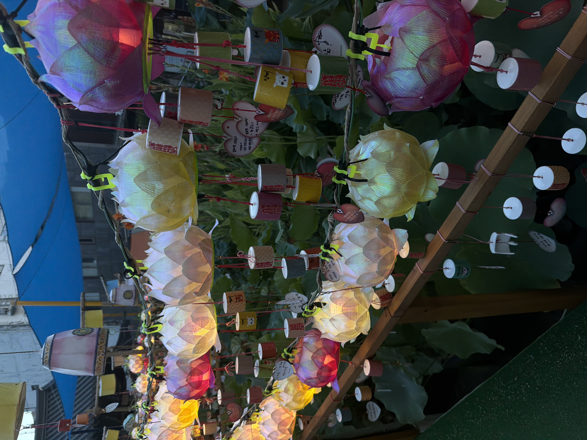 The image depicts an outdoor setting, likely a pathway or garden area, adorned with numerous illuminated lotus-shaped lanterns. These lanterns, varying in color from pink and red to yellow and iridescent green, are suspended from wires strung across the scene. Attached to the lanterns and to wooden railings below are small, cylindrical decorative objects, some of which appear to be wind chimes or prayer tokens, featuring writing or imagery. In the background, large green lotus leaves are visible, suggesting the lanterns are displayed near a body of water or a lotus pond. A blue tarp is stretched overhead, providing shade. The overall impression is one of a festive or serene nighttime decoration, possibly part of a cultural event or religious observance. The image is taken from a slightly elevated perspective looking down at the lanterns. There are no people visible in the frame.