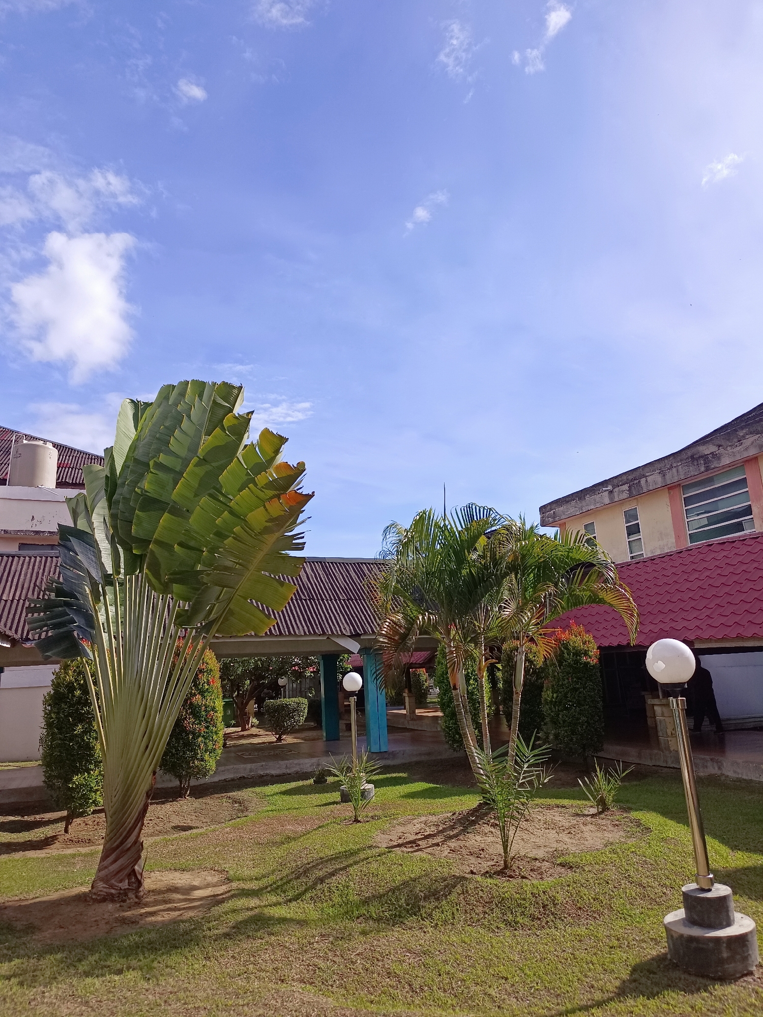 The image depicts a bright, sunny day in what appears to be an outdoor courtyard or garden area adjacent to buildings, likely in the city of Mesjid Reuntoh, Indonesia. The sky is a vibrant blue with scattered white clouds. In the foreground, a lush green lawn is visible, with shadows cast by various plants and a modern outdoor lamp post with a white globe on a metal pole, set on a concrete base.
Dominating the left side of the frame is a large, fan-shaped traveler's palm tree with distinctively patterned green leaves. Behind this palm, and scattered throughout the scene, are several smaller palm trees and manicured green shrubs.
The buildings in the background feature red tiled roofs and walls of varying colors, including cream and a pale pink trim. One building has a water tank on its roof. There are covered walkways or verandas between structures. A few individuals are visible in the background, one near a doorway and another partially obscured by a palm tree, appearing to be moving or standing. The overall scene suggests a well-maintained outdoor space connected to institutional or residential buildings.