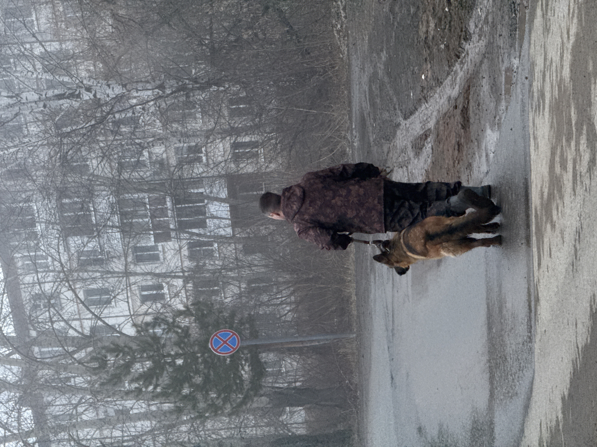 A man walks a dog on a road in Kabanikha, Russia, near an apartment building. The season appears to be late fall or early spring due to the leafless trees and drab surroundings. The man wears a brown patterned jacket and dark pants. The dog, possibly a German Shepherd, is on a leash. A road sign with a blue "X" in a red circle is visible near the building. The scene is overcast with an evident fog. The road surface is gray.