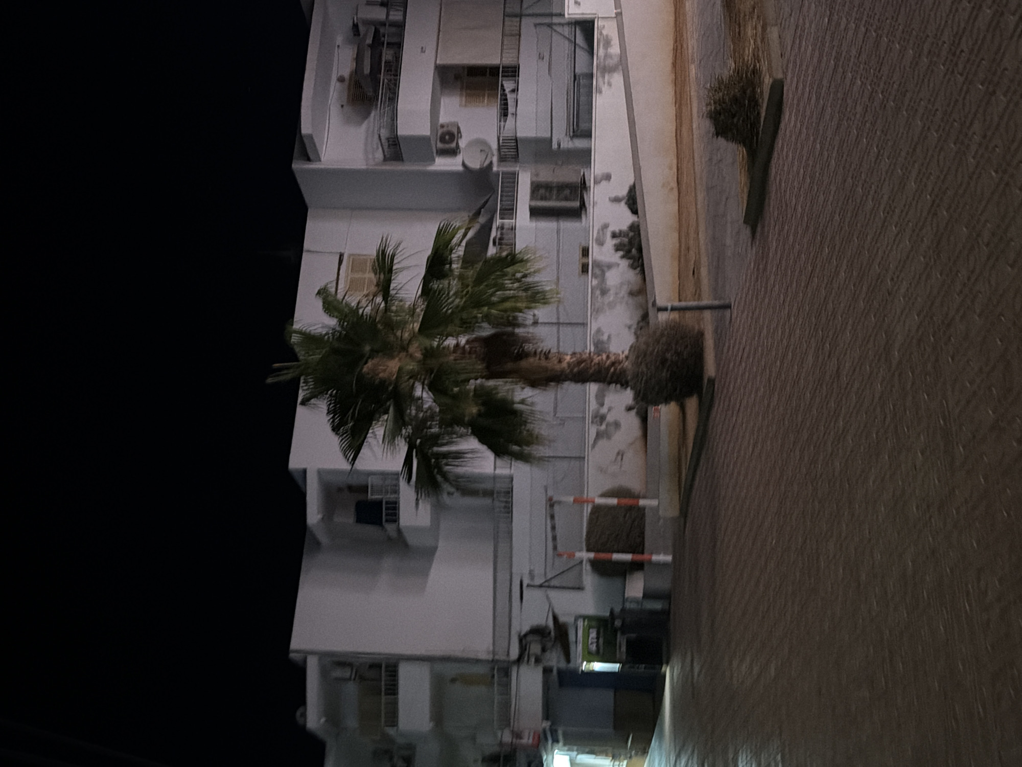 The image shows an outdoor scene at night in Sant Antoni de Portmany, Spain. In the background, a multi-story building with white walls and balconies is visible. A prominent palm tree stands in the mid-ground, with its fronds illuminated by artificial light. To the left of the palm tree, an ATM machine is mounted on a wall, with signage indicating it is an ATM. The foreground consists of a paved walkway or street with a patterned surface. Several red and white striped poles are also present in the mid-ground. The overall atmosphere is dimly lit, characteristic of nighttime in a populated area.