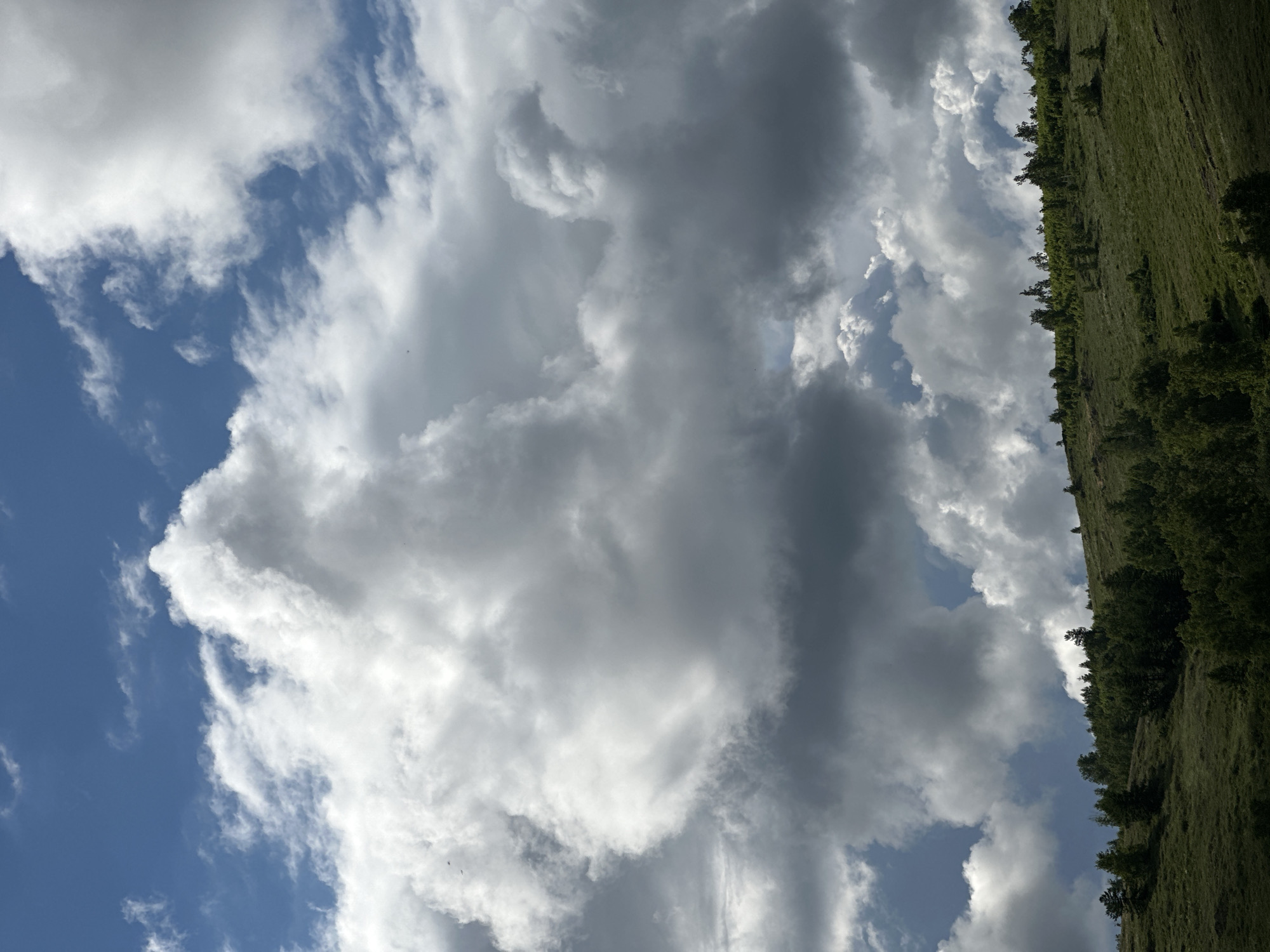The image presents a daytime scene of a hillside under a sky filled with clouds. The hillside, located on the right, is covered in grass and trees, suggesting a rural or semi-rural environment. The sky dominates the majority of the image, showcasing a variety of cloud formations, ranging from light, fluffy cumulus clouds to darker, denser cumulonimbus clouds. The overall impression is one of a natural landscape with variable weather conditions. The location is indicated to be in the city of Unknown, Unknown.