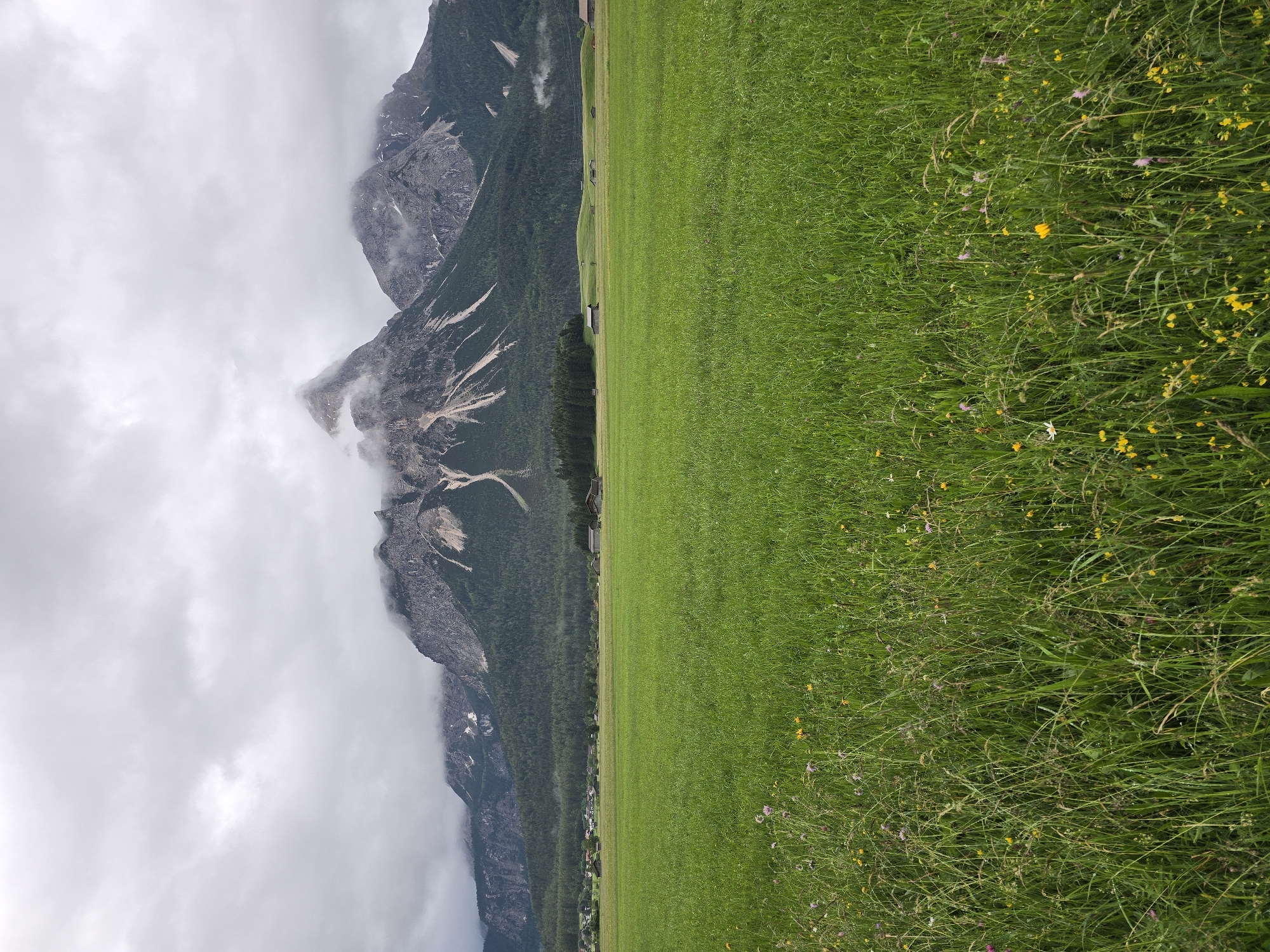 A wide, low-angle, outdoor shot captures a lush green meadow in the foreground. The meadow is dotted with small wildflowers in shades of yellow and purple, along with tall grasses. In the middle ground, a gently rolling landscape unfolds, featuring scattered small wooden structures, possibly farm buildings, and a dense forest. A range of imposing mountains dominates the background, their peaks shrouded in clouds and mist. The sky above is overcast with heavy, gray clouds. This scene is located in Lermoos, Austria. There are no people or animals visible in the image.