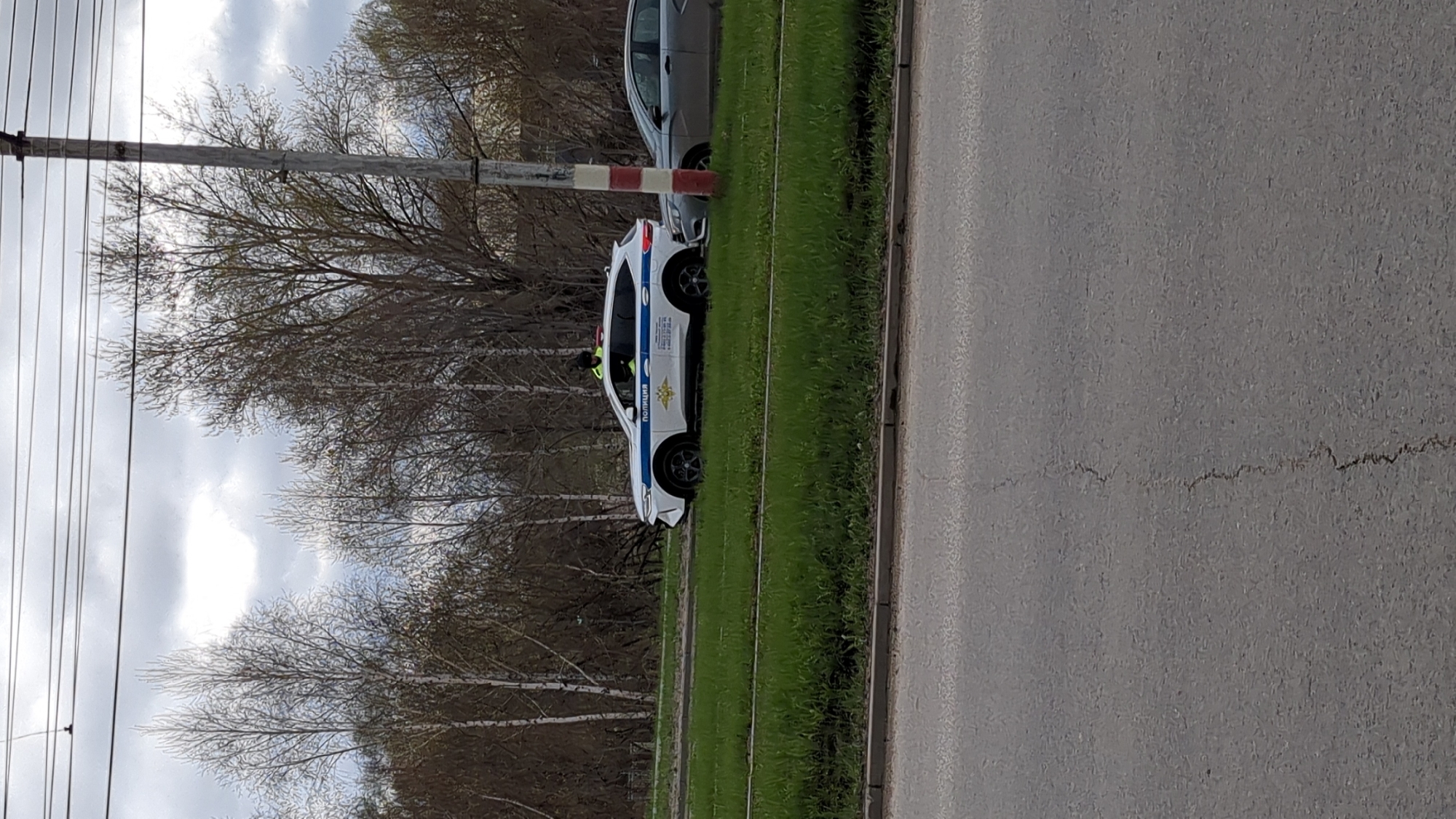 A police car, white with blue stripes and bearing the word "ПОЛИЦИЯ" (POLICE) in Cyrillic script, is parked partially on a grass verge and partially on the roadway. The front of the car is close to a utility pole marked with red and white stripes. A second, dark-colored vehicle is parked ahead of the police car. Bare trees and a cloudy sky are visible in the background. The scene is located in the city of Ulyanovsk, Russia. A person wearing a high-visibility vest is either inside the police car or standing next to it.