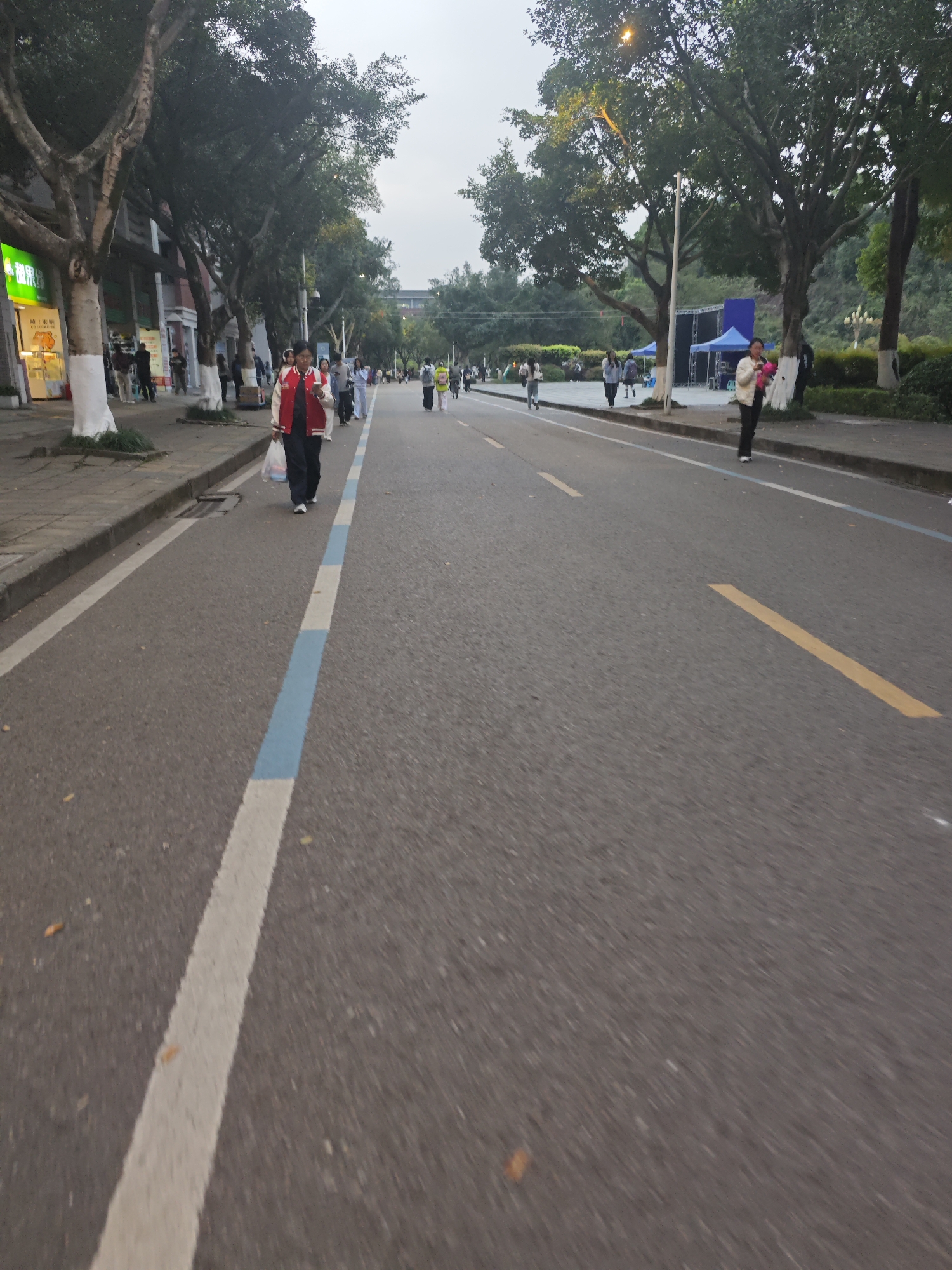 This image captures a street scene in Chongqing High-tech Zone, China, under an overcast sky. The perspective is from ground level, looking down a two-lane asphalt road that features a solid white line bordering a segment of pale blue painted surface on the left. Further down, a yellow lane marker is visible on the right.
On the left side of the road, a raised concrete sidewalk abuts a row of multi-story buildings with storefronts. One visible storefront displays a prominent green sign. Several trees with whitewashed lower trunks line the sidewalk. Numerous pedestrians are walking along this sidewalk; one individual in the immediate foreground, walking towards the viewer on the road's edge, wears a red and white letterman-style jacket, dark trousers, and white shoes. This person holds a white plastic bag in their left hand and a smartphone in their right hand, appearing to be engaged with the device.
On the right side of the road, a raised curb separates the street from a landscaped area featuring trees and green foliage. Additional pedestrians are visible walking in this area. Further into the midground, an open paved space behind the trees reveals multiple blue pop-up canopies and a dark-framed stage structure, indicating an outdoor event setup. A person dressed in a white top and dark pants stands near this green space, holding a light-colored object.
The background consists of dense green foliage, with parts of a building structure visible through the trees, all set against a uniformly light, overcast sky. The scene depicts an active urban environment with pedestrian traffic, commercial establishments, and a designated event area.