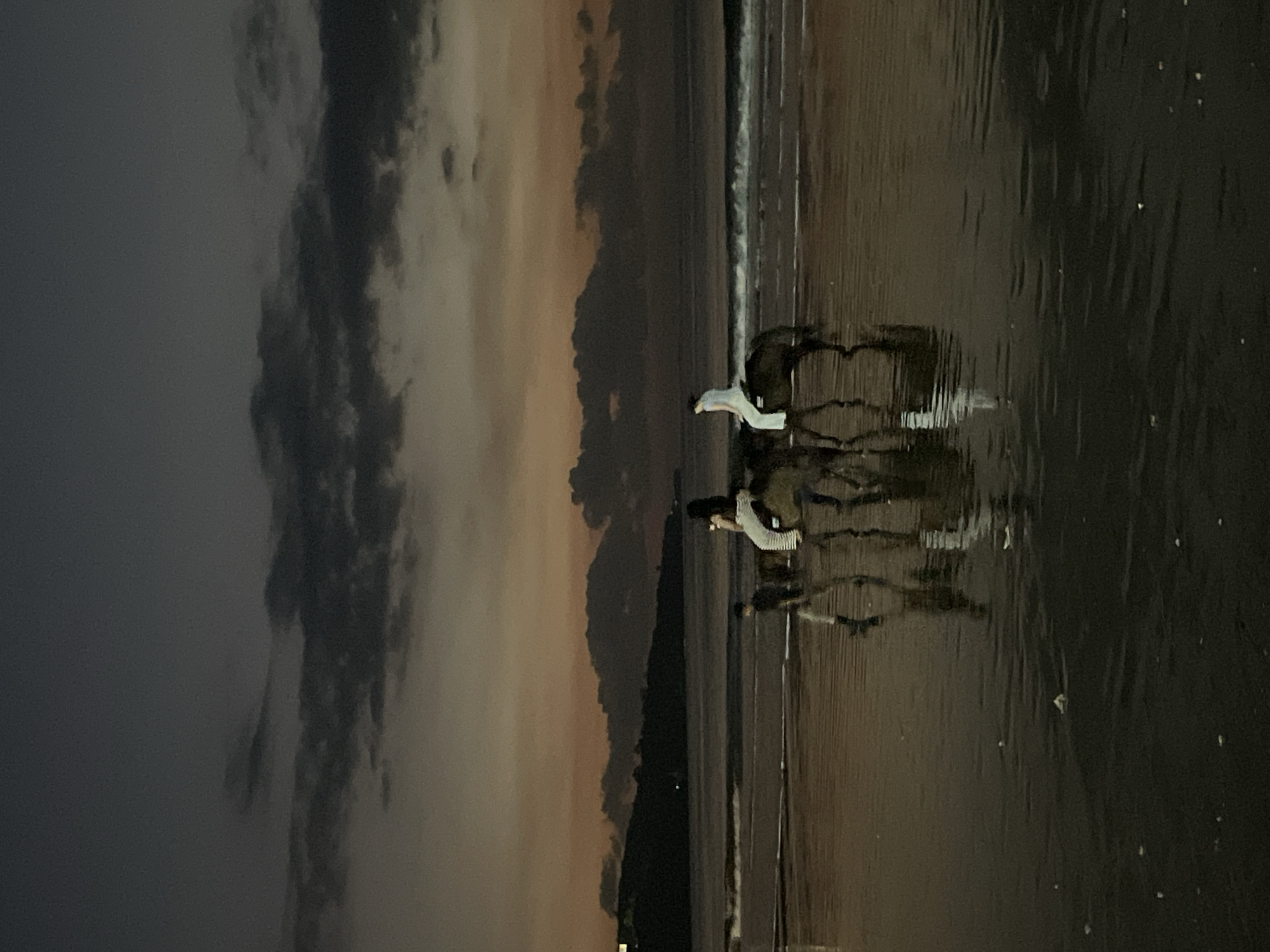 A dimly lit beach scene at twilight or dusk captures two individuals standing at the water's edge. The sky, occupying the top half of the frame, is a dramatic blend of dark gray, deep blue, and warm, diffused orange-brown hues, indicative of sunset or sunrise behind heavy clouds. A distant, dark landmass, possibly mountains or forested hills, forms a jagged silhouette along the horizon line, separating the sky from the ocean.
The foreground is dominated by the wet, reflective sand of the beach, mirroring the sky's colors and the figures standing on it. Gentle waves are visible breaking onto the shore, creating thin lines of white foam. Two figures are positioned near the water's line. One person, to the left of center, is more clearly visible, wearing what appears to be a light-colored top and darker bottoms. They stand facing the ocean, their posture suggesting observation or contemplation. Their reflection in the wet sand is distinct and elongated. Another figure is partially visible further to the right, also casting a reflection.
The overall lighting is low, creating strong contrasts and silhouettes. The atmosphere is serene and tranquil. There is no visible text in the image.