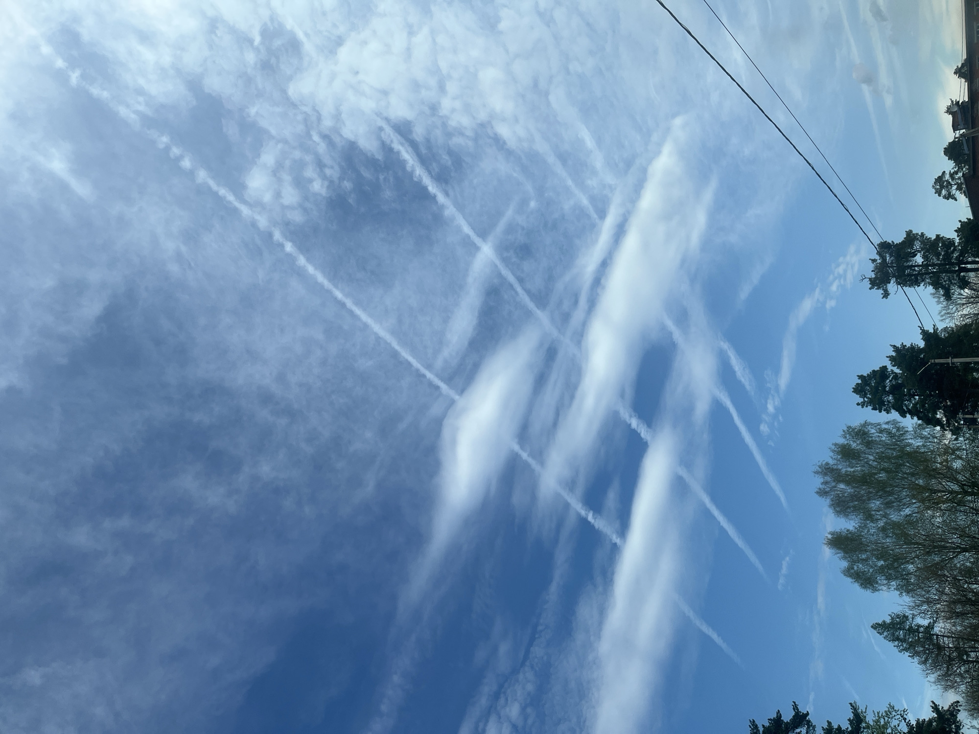 The image shows a sky filled with contrails, the visible condensation trails left by aircraft engines. The contrails crisscross each other, creating a pattern against the blue sky. Some of the contrails have begun to dissipate, forming cirrus-like clouds. The bottom right of the image shows trees and foliage, suggesting a ground-level view of a wooded or suburban area. Power lines are visible in the upper right corner of the image. The scene does not show any people or buildings, and is interpreted as being from Раздолье, Russia.