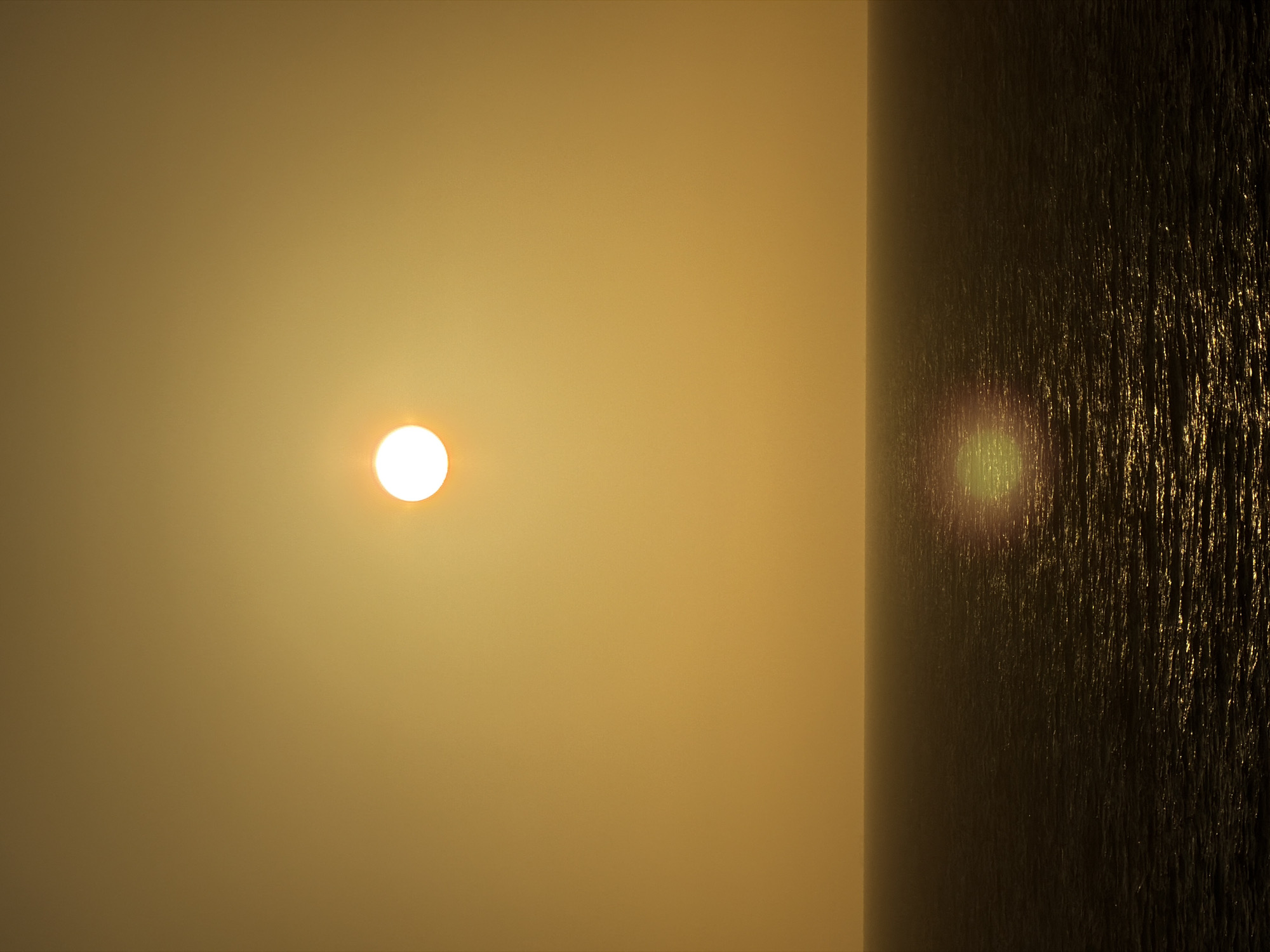 The image shows a sunrise over the ocean. The sun is a bright circle in the left center of the frame. The sky is a uniform yellow-gold color. To the right, the ocean is visible, with a textured, dark surface reflecting light from the sun. The location appears to be somewhere on a coastline. The city and state are unknown.