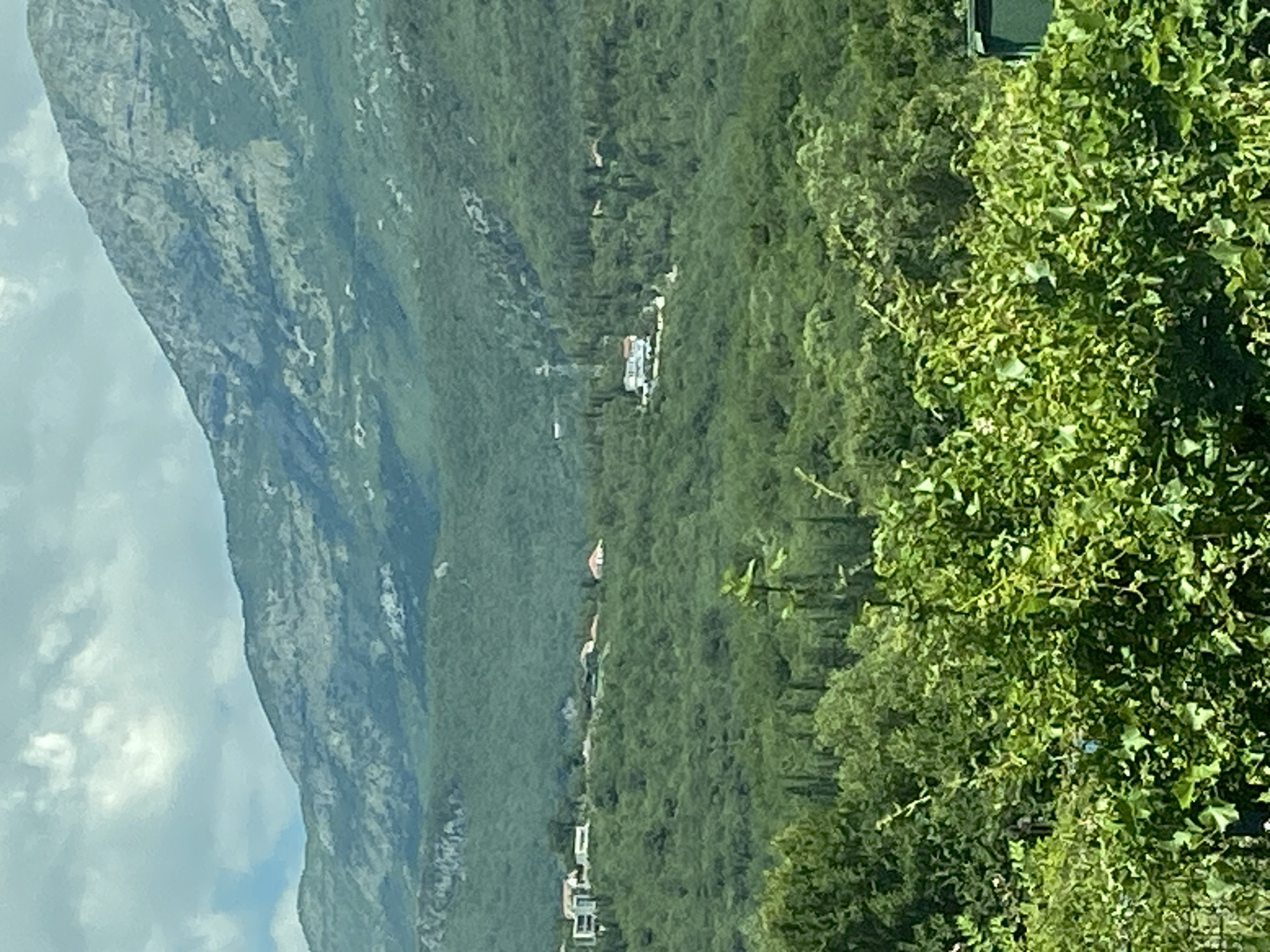 A wide shot captures a mountainous landscape with dense green vegetation covering the slopes. In the mid-ground, several houses are visible scattered across the hillsides, indicating a residential area. In the foreground, lush green foliage, possibly a vineyard or dense undergrowth, partially obscures the view. The sky above is partly cloudy. The scene appears to be a rural or semi-rural setting within Sutorina, Montenegro.