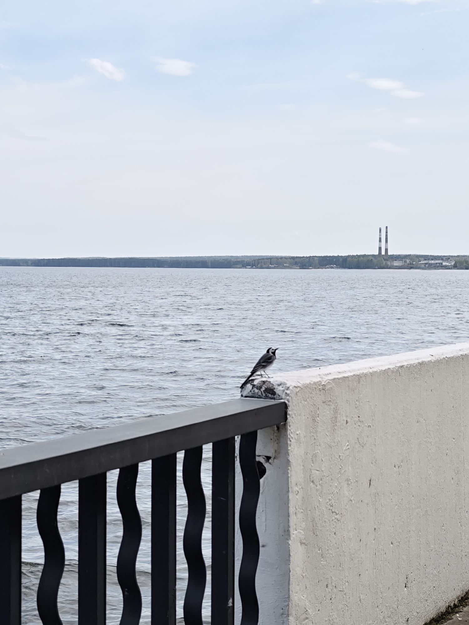 The image shows a Northern Wheatear bird perched on a stone next to a black, wavy metal railing and a concrete wall. In the background is a body of water, likely the Kama River, and a treeline. On the horizon are two tall smokestacks, indicative of a power plant or industrial facility. The image was taken in the city of Chaikovsky, Russia.