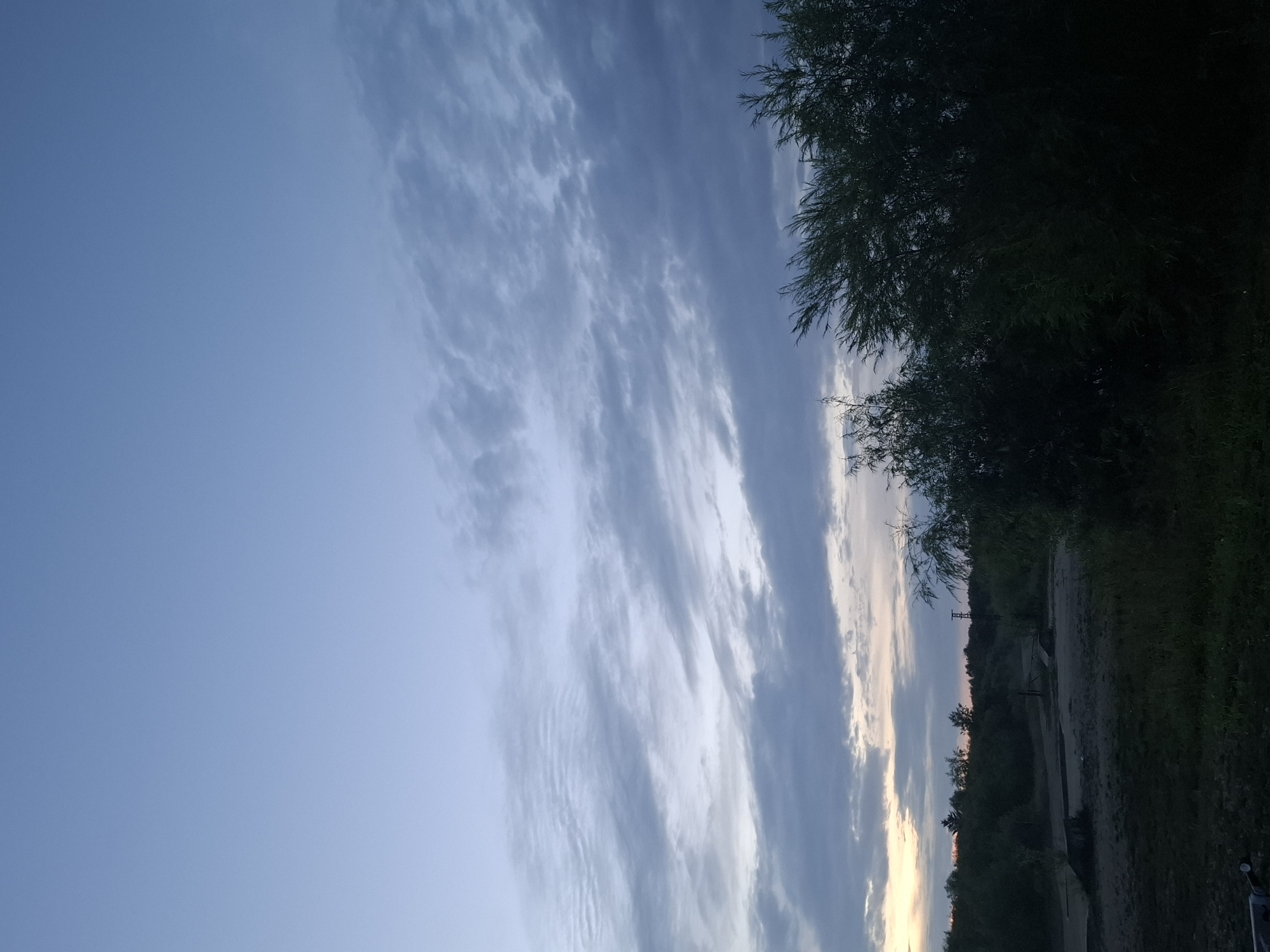 The image depicts a natural landscape scene at dusk or dawn, likely in the city of Svobodny, Russia. The sky is a pale blue, transitioning into lighter shades towards the horizon, with wispy clouds scattered across the upper portion. In the foreground, a dark silhouette of trees and bushes dominates the lower right side of the frame, with their leaves appearing wind-swept. To the left and center, a dirt path or road is visible, leading into a wooded area. Several dark green trees are scattered throughout the mid-ground, with one taller, conical evergreen visible in the distance. The overall impression is one of a quiet, natural setting, possibly on the outskirts of a populated area.