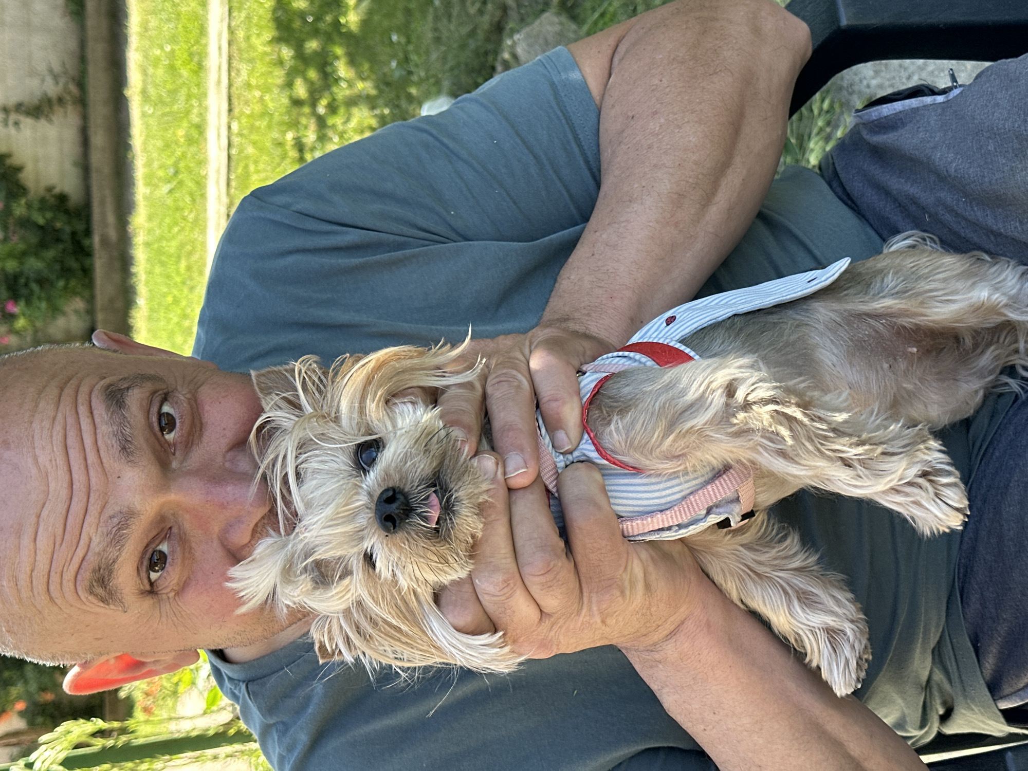 A man with a shaved head, wearing a green t-shirt and grey pants, is holding a small, beige dog with a pink and white striped harness. The dog is sticking its tongue out. They are outdoors, likely in a yard, with green grass visible in the background. The image was taken in Lehchevo, Bulgaria.