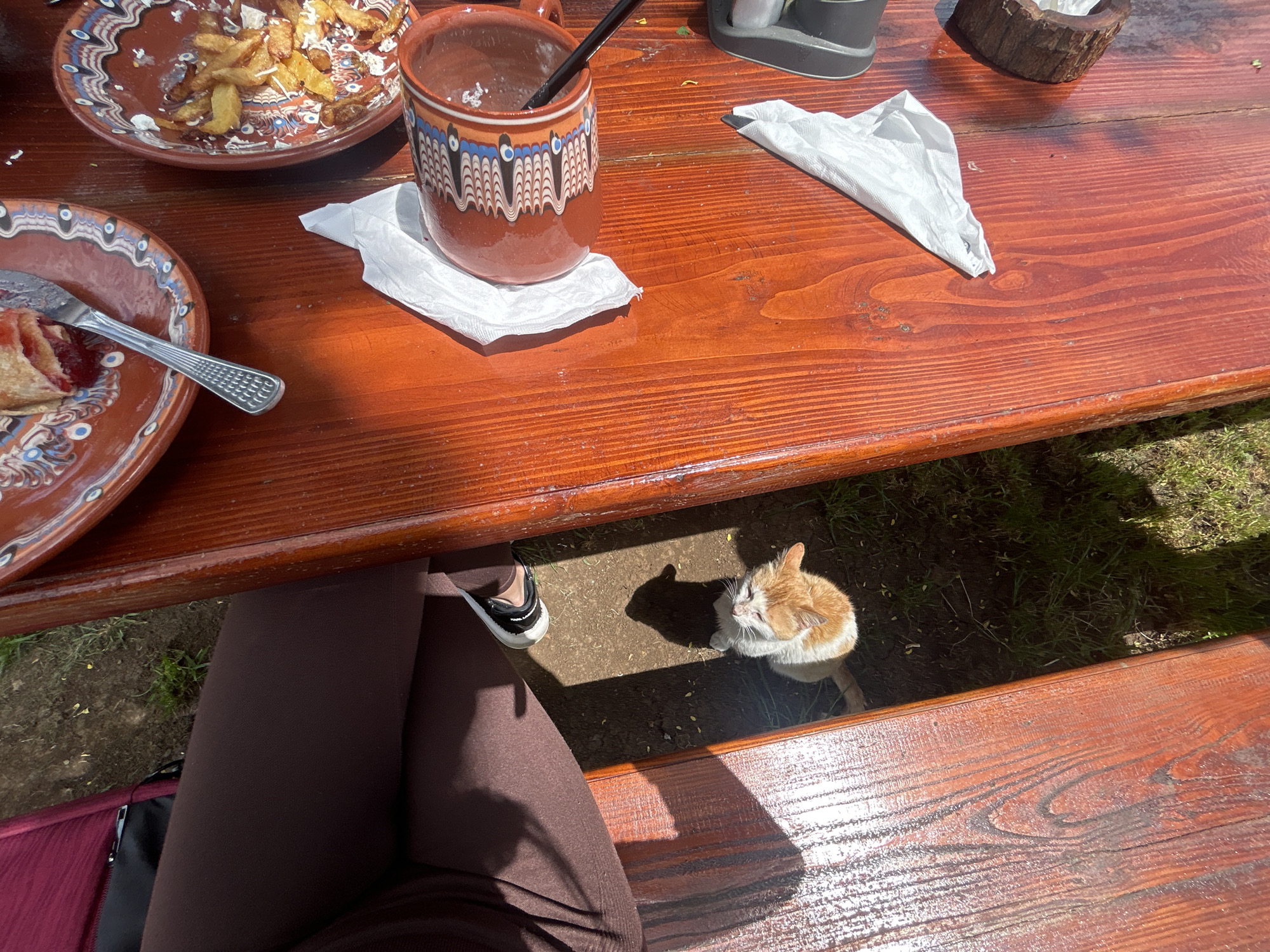 An outdoor scene captured in Meshtitsa, Bulgaria features a wooden picnic table laden with dishes containing remnants of a meal. A patterned ceramic mug with a straw stands on a white napkin. Nearby is a crumpled white napkin and a small wooden holder. Beneath the table, an individual's legs clad in brown fabric are visible, along with a partially visible shoe. A white and orange cat stands on the ground under the table, amid grass and dirt. The sunlight suggests it is daytime.