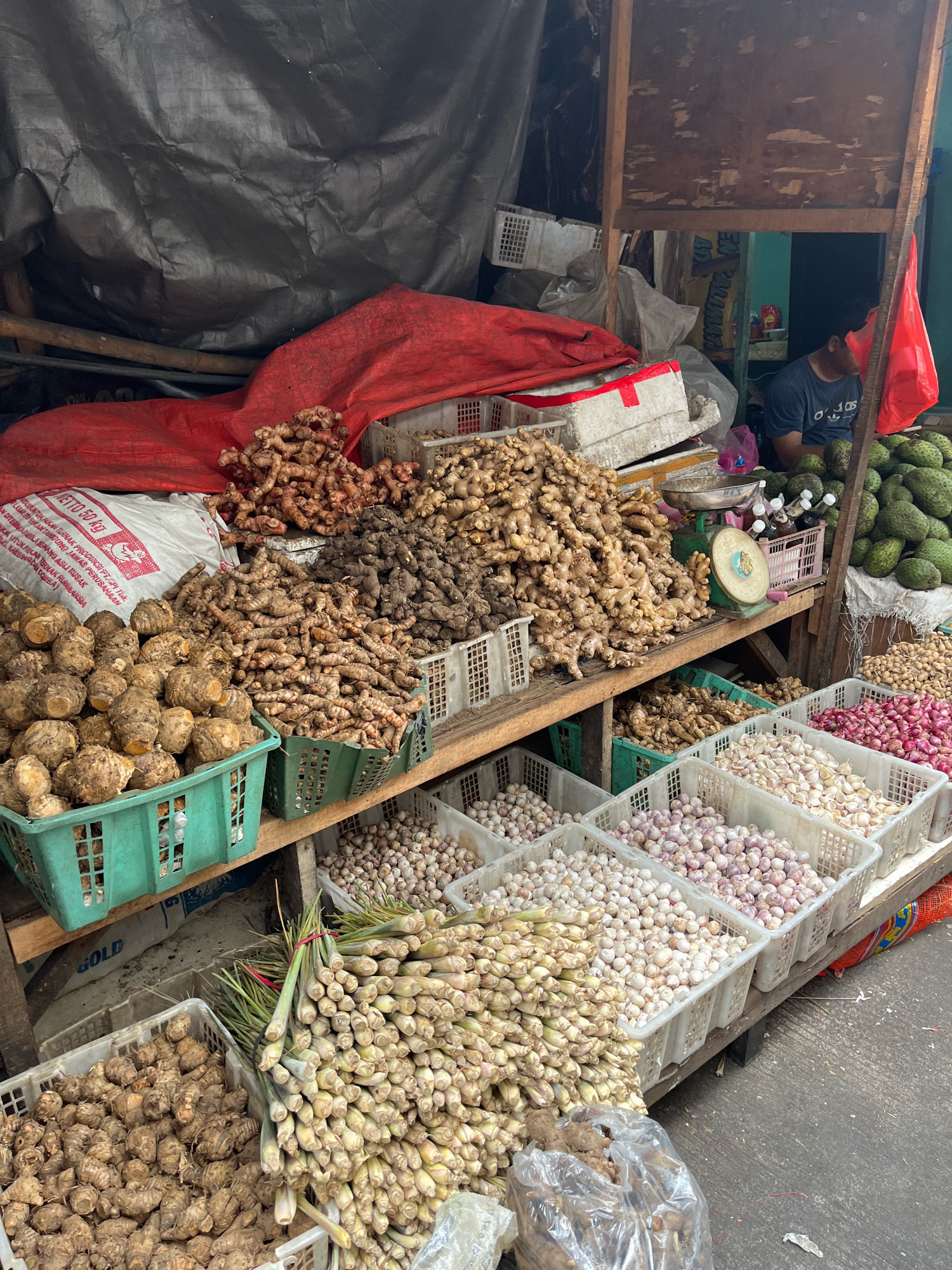 This is a ground-level, eye-level, medium shot of an outdoor market stall filled with produce, including various roots, bulbs, and some fruits. The stall is constructed from wood and appears to be outdoors, possibly on a paved surface. A person is visible in the background, seated.
In the foreground, several green plastic baskets are filled with produce. The leftmost basket contains round, brown tubers, possibly taro or yams. To the right of this, another green basket holds more root vegetables, lighter in color and more elongated, possibly turmeric or ginger. In front of these, a large pile of bundled lemongrass is tied with red string. To the right of the lemongrass, a white plastic crate is filled with small, brown, pebble-like items, possibly dried beans or grains.
Behind the initial rows of produce, a large pile of ginger is visible, mixed with some darker roots. To the left of the ginger pile is a white 50kg bag of some commodity, with red markings.
Further back and to the right, there are multiple white plastic crates filled with bulbs. The crate closest to the foreground appears to contain red onions. To its left, two crates are filled with garlic, one with lighter colored bulbs and the other with a pinkish hue. In the row behind these, more garlic is visible.
To the far right, a pile of green, spiky fruits, possibly soursop, is visible. Next to these, a crate holds more of the small brown, pebble-like items seen earlier.
A vintage scale with a metal pan sits on a wooden shelf above some of the ginger. There are also some bottles in a pink crate on the shelf.
In the background, a person wearing a dark blue t-shirt is seated. A large, dark grey tarp hangs behind the stall, and a red tarp is draped over some of the produce. Wooden poles and beams make up the structure of the stall. The ground is a rough, gray paved surface.