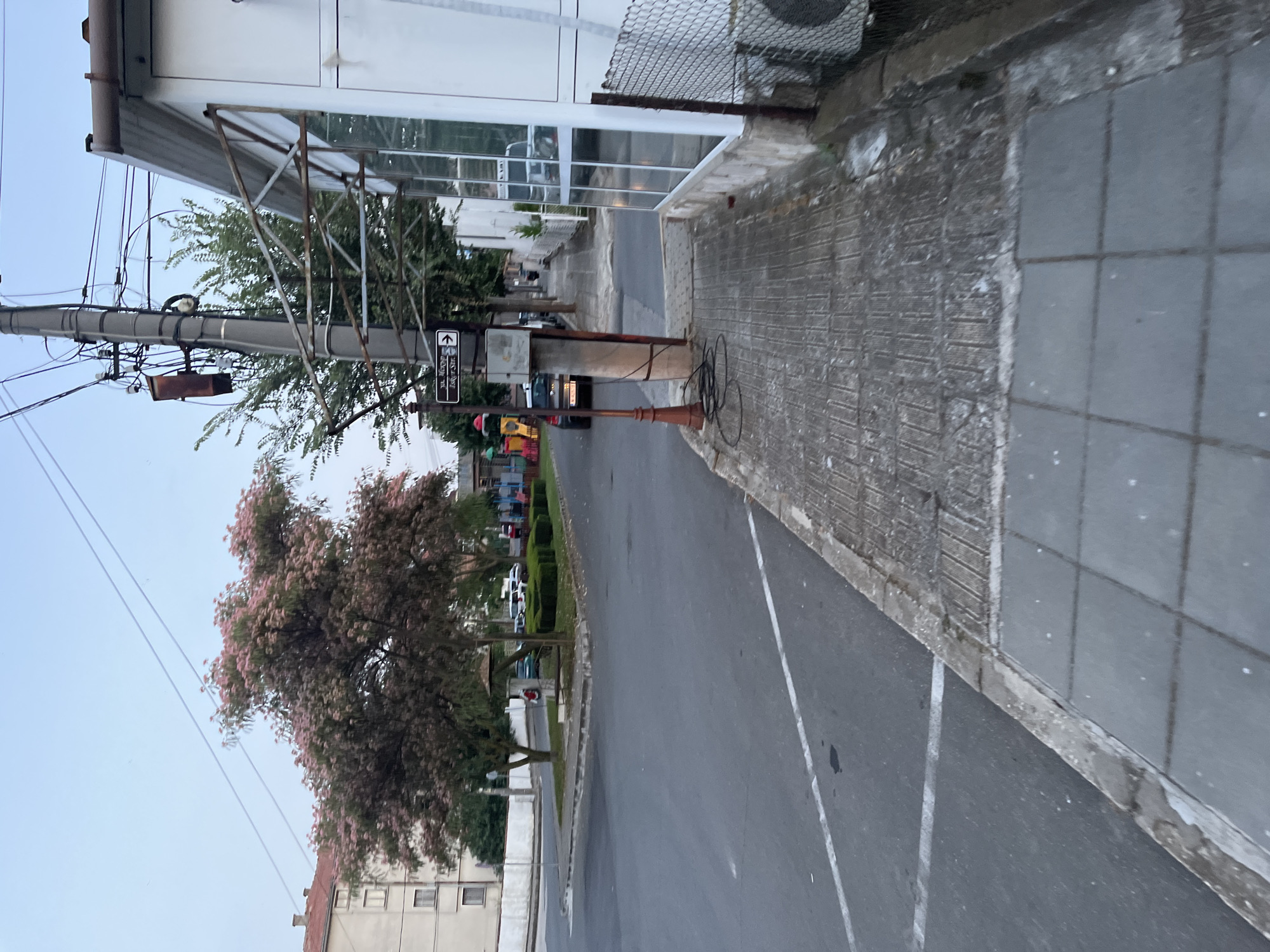 The image depicts a street scene in Obzor, Bulgaria, likely in the late afternoon or early evening given the soft, diffused light. The perspective is from a sidewalk looking across a street towards a building with large glass windows and a metal awning. To the left, a tree with abundant pink blossoms is prominent, with a residential building in the background. The street itself is paved, with visible white lane markings and a sidewalk constructed of stone slabs. A utility pole with numerous wires and some attached electrical equipment stands near the edge of the sidewalk. A street sign with Cyrillic text is also visible on this pole. Further down the street, a playground with colorful equipment is partially visible, and several cars are parked. The overall impression is of a quiet urban or semi-urban environment.