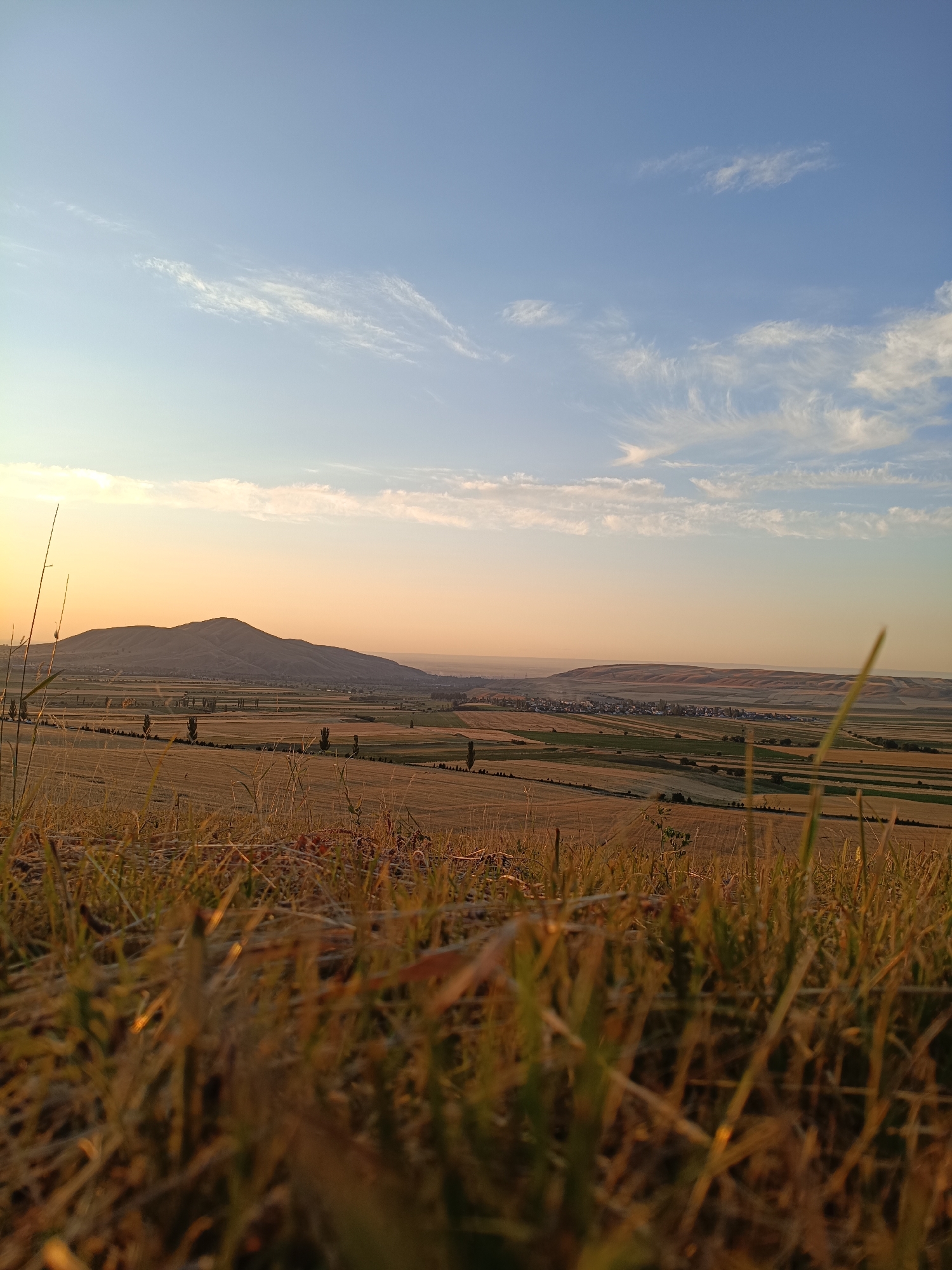 The image depicts a panoramic landscape under a clear sky with scattered wispy clouds. In the foreground, dry grass and stalks are in sharp focus, suggesting a low-angle shot from a hillside. Beyond the foreground, a vast expanse of cultivated fields stretches out, exhibiting variations in color and texture, indicative of different crops or stages of harvest. A range of rolling hills and a prominent, rounded mountain dominate the mid-ground. A small settlement, appearing as a cluster of buildings, is visible nestled within the valley floor. The sky transitions from a pale yellow near the horizon to a soft blue at the zenith, indicating either sunrise or sunset. The overall scene suggests a rural setting in the region of Arashan, Kyrgyzstan, characterized by agriculture and natural geological formations. There are no visible people or animals in the image.