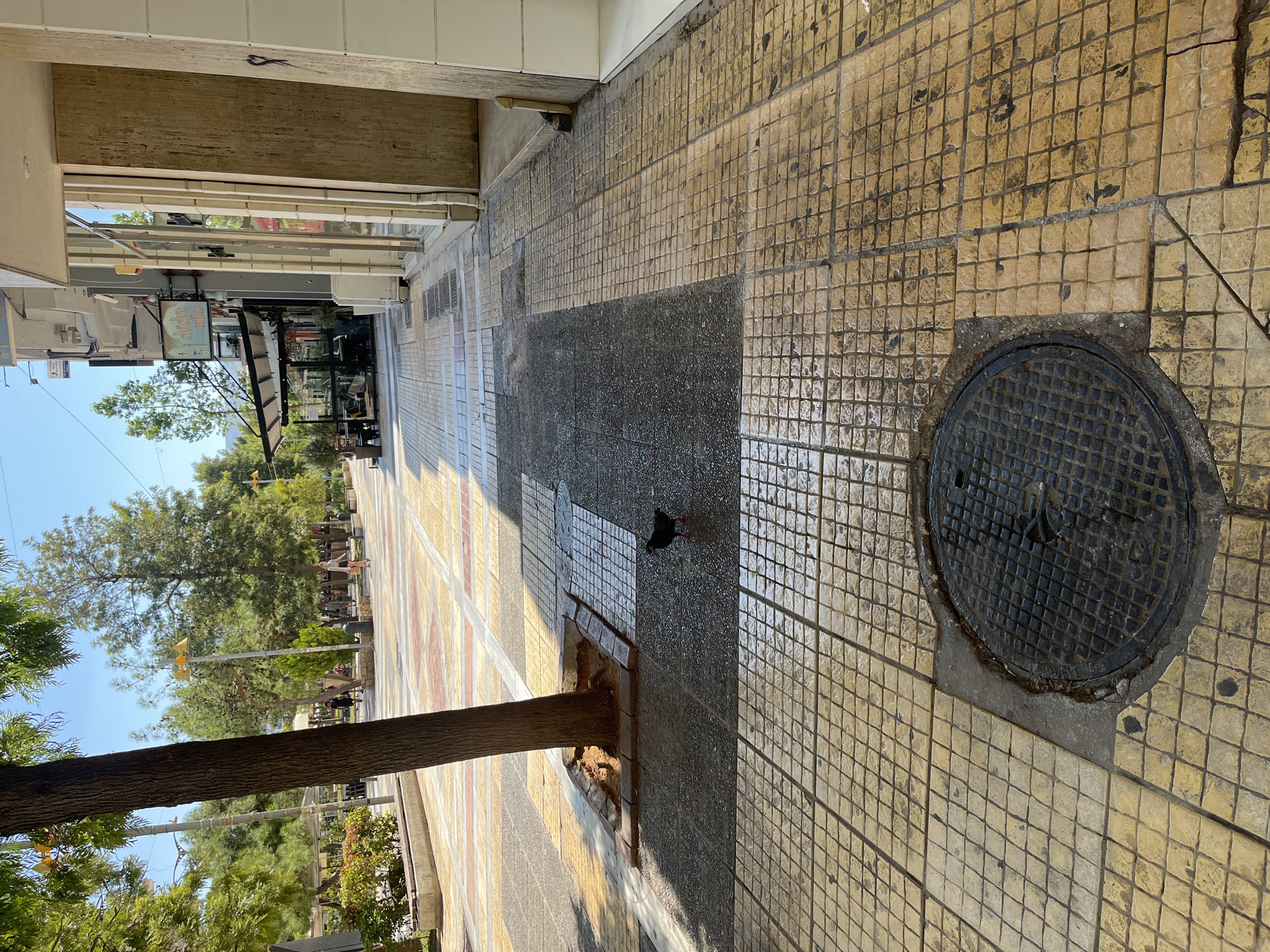 A pigeon stands on a wet, tiled sidewalk in Nea Smirni, Greece. The sidewalk is paved with yellow square tiles, interspersed with darker rectangular tiles in some areas. A circular manhole cover is visible in the foreground. A tree with a rough brown trunk stands to the left of the sidewalk, its roots exposed. In the background, people walk along a pedestrian walkway lined with shops and trees. The sky is blue and clear.