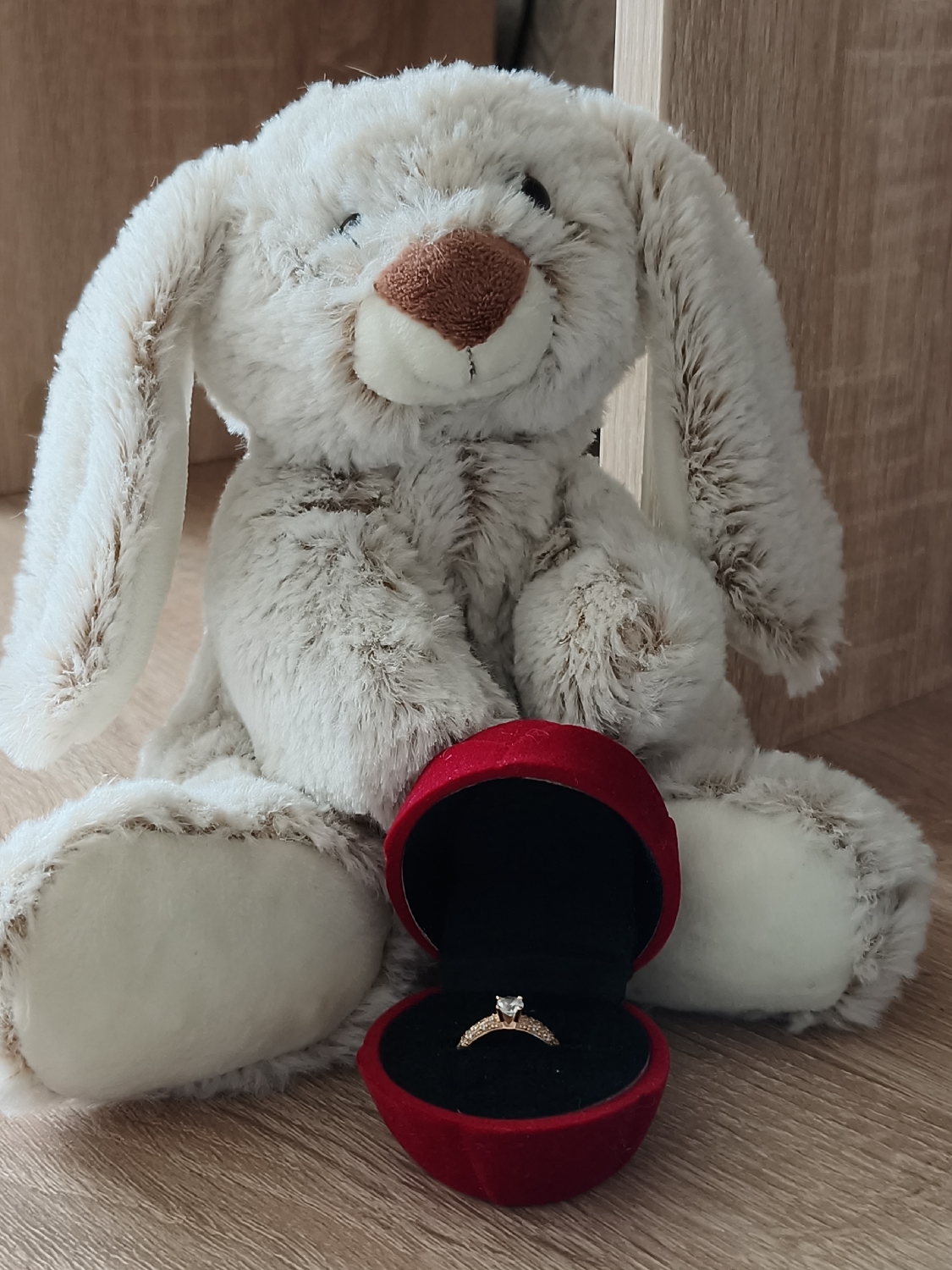 This indoor photograph captures a heartfelt scene featuring a cream-colored plush bunny and an open ring box. The soft, fluffy bunny, with its long, floppy ears, black button eyes, and brown embroidered nose, sits upright on a light wooden surface. Its fur is a mix of cream and light brown, giving it a textured appearance.
Directly in front of the bunny, a small, heart-shaped red velvet ring box lies open. Inside, against a black velvet interior, rests an elegant ring. The ring features a gold-toned band adorned with numerous small, sparkling stones, leading up to a prominent, clear central gemstone, likely a diamond.
The setting appears to be a domestic indoor space, possibly in Kryvyi Rih, Ukraine. The background consists of simple wooden panels or furniture, providing a warm and uncluttered backdrop. The lighting is soft and even, highlighting the details of the subjects and creating an intimate atmosphere. The arrangement of the bunny and the ring box strongly suggests a romantic gesture, such as a marriage proposal or a thoughtful gift. There is no visible text in the image.