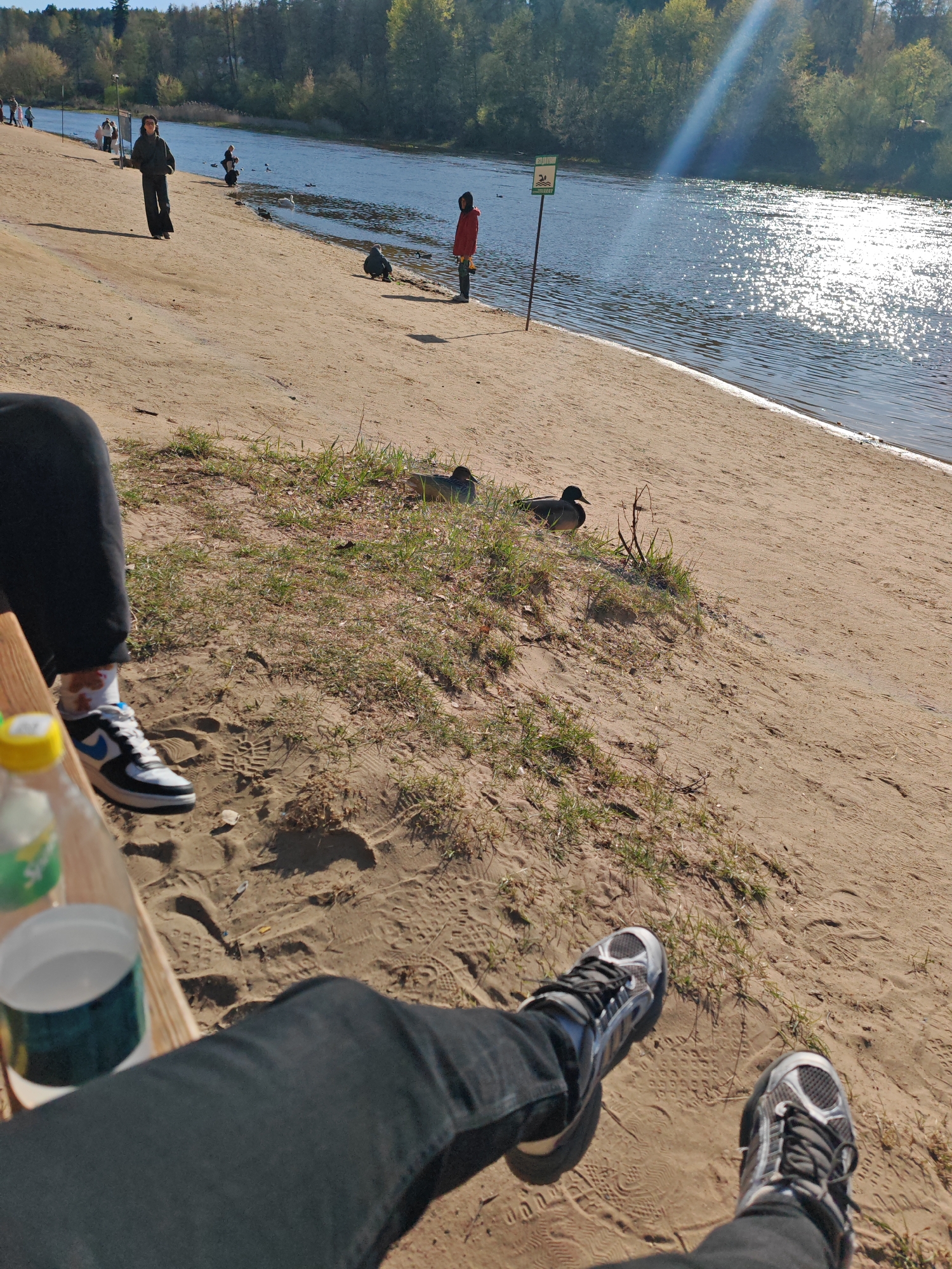 This image depicts a sunny day on a sandy riverbank in Падлабенскі сельскі Савет, Belarus. The perspective is from a seated position, showing the legs and feet of two individuals in black pants and sneakers; one wears black, blue, and white shoes, and the other wears grey and black. A green plastic bottle, possibly Sprite, and a white cup are visible on a wooden surface next to one person.
The sandy bank, marked with footprints and sparse grass, extends towards a wide body of water. Two brown ducks are visible resting on grassy patches in the sand. Further along the bank, several people are present: one person in dark clothing walks towards the camera, while another in a red jacket stands by the water's edge, and a third crouches near the bank. Various birds, including ducks and potentially a swan, are in or near the water.
A green signpost is clearly visible near the water, featuring a symbol of a crossed-out swimmer and the text "КУПАТЬСЯ ЗАПРЕЩЕНО" (Swimming forbidden), indicating that swimming is prohibited in this area. The water's surface reflects bright sunlight, creating a shimmering effect. Across the river, a dense forest of green trees lines the bank. The scene suggests a relaxed outdoor gathering or outing on a bright, clear day, with people observing the natural environment and wildlife.