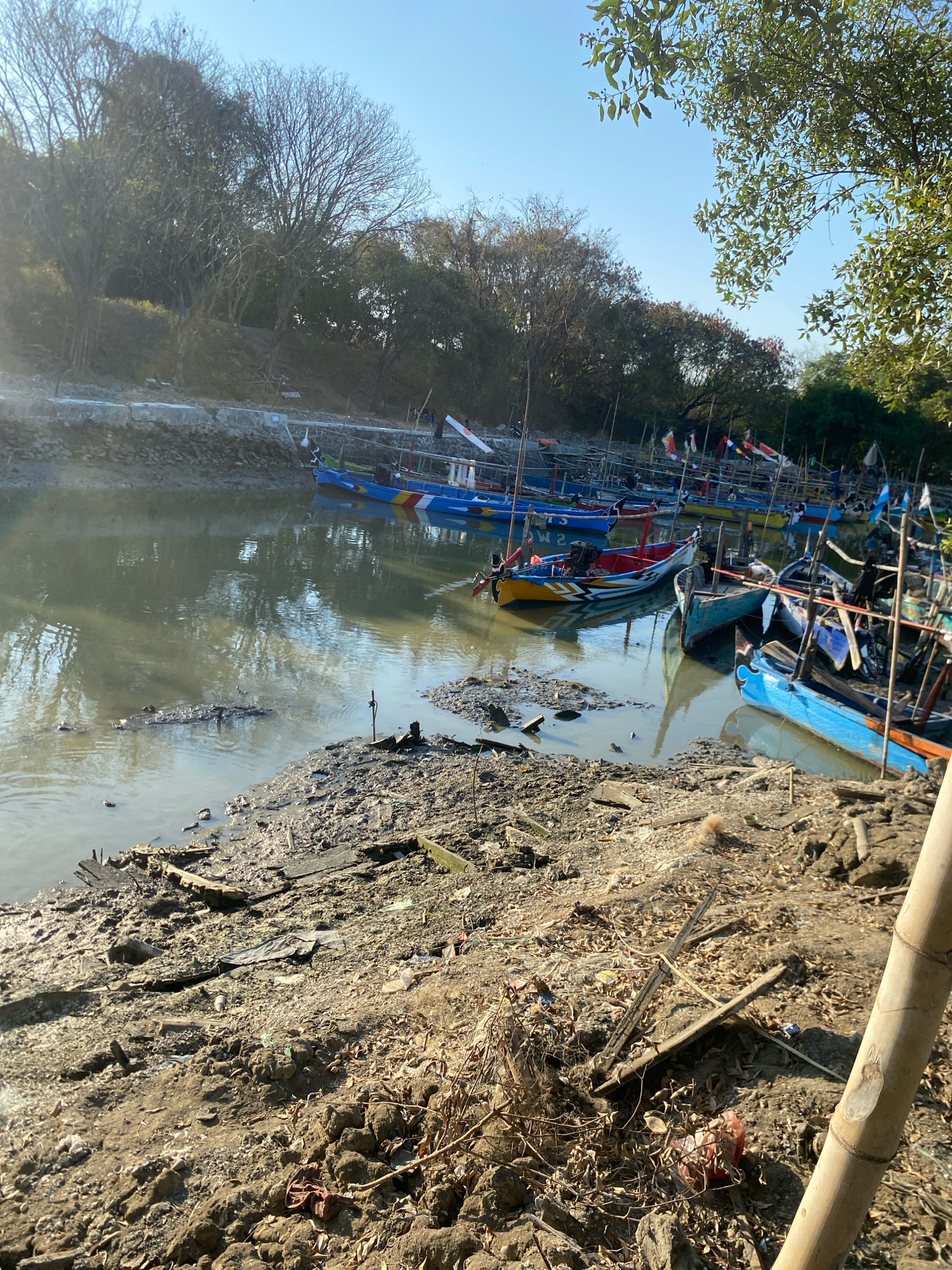 The image shows a cluttered waterfront with numerous small fishing boats docked along a muddy bank. The boats are colorful, with blue, yellow, and red being prominent. They are moored closely together, suggesting a working harbor or fishing village. The bank itself is covered in mud, debris, and vegetation, indicating a natural or semi-developed shoreline. In the background, trees line the opposite bank of the water, and a clear blue sky suggests it is daytime. The scene appears to be located in Gisik Cemandi, Indonesia, as identified by the provided context. There are no people clearly visible in the image, but the presence of the boats implies human activity associated with fishing or maritime commerce. The overall impression is one of a functional but perhaps unrefined coastal area.