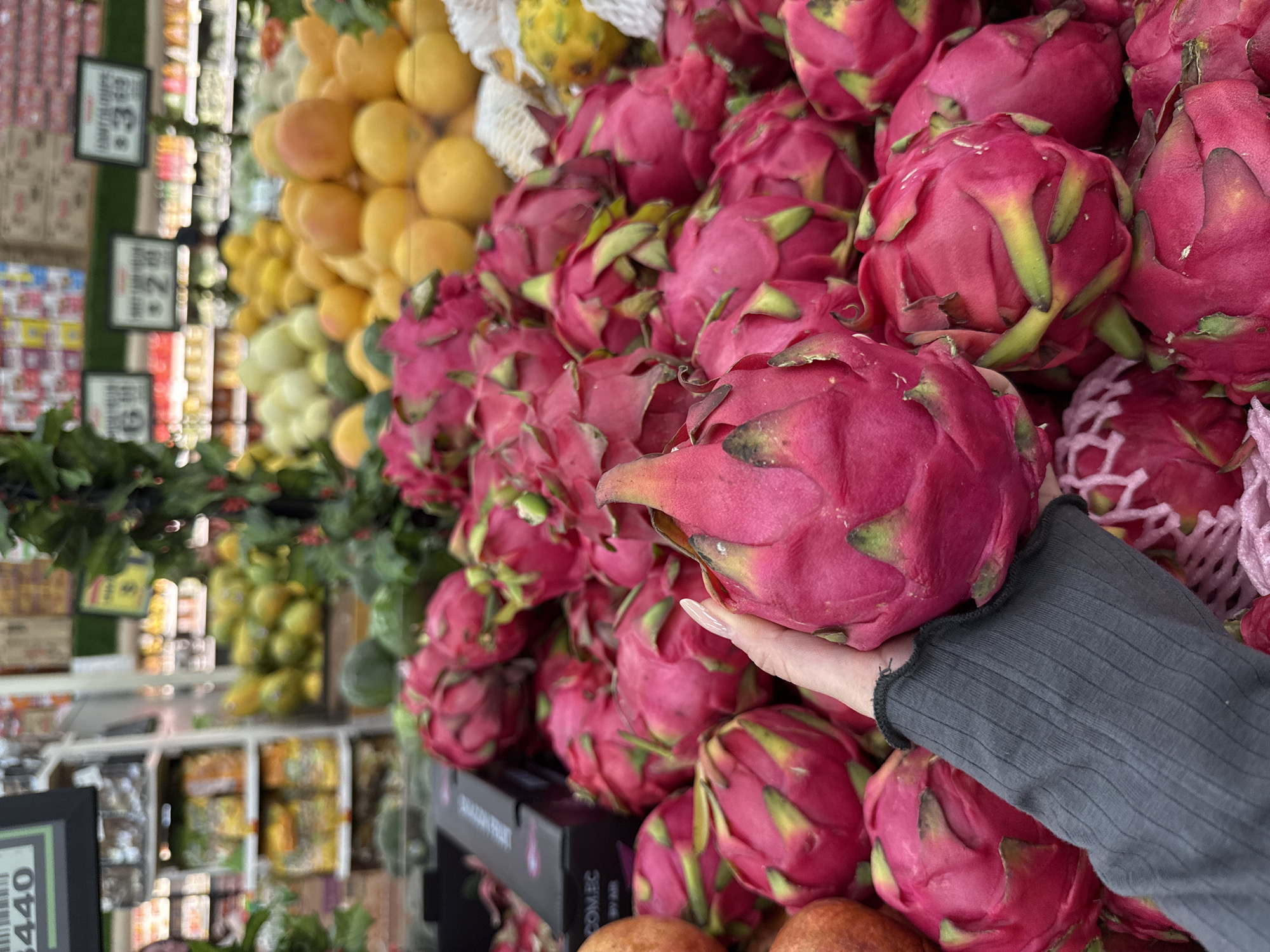 The image shows a close-up of a display of dragon fruit in what appears to be a grocery store in Davie, Florida. In the foreground, a person's hand, clad in a gray long-sleeved shirt, is holding a dragon fruit. The fruit is vibrant pink with green-tipped scales. Behind the held dragon fruit, several more dragon fruits are piled on top of each other. In the background, there are shelves of other fruits and produce, including lemons, mangoes, and other items. The environment looks like a typical grocery store, with various packaged goods and produce visible in the blurry background. A black sign with pricing information is present in the foreground.