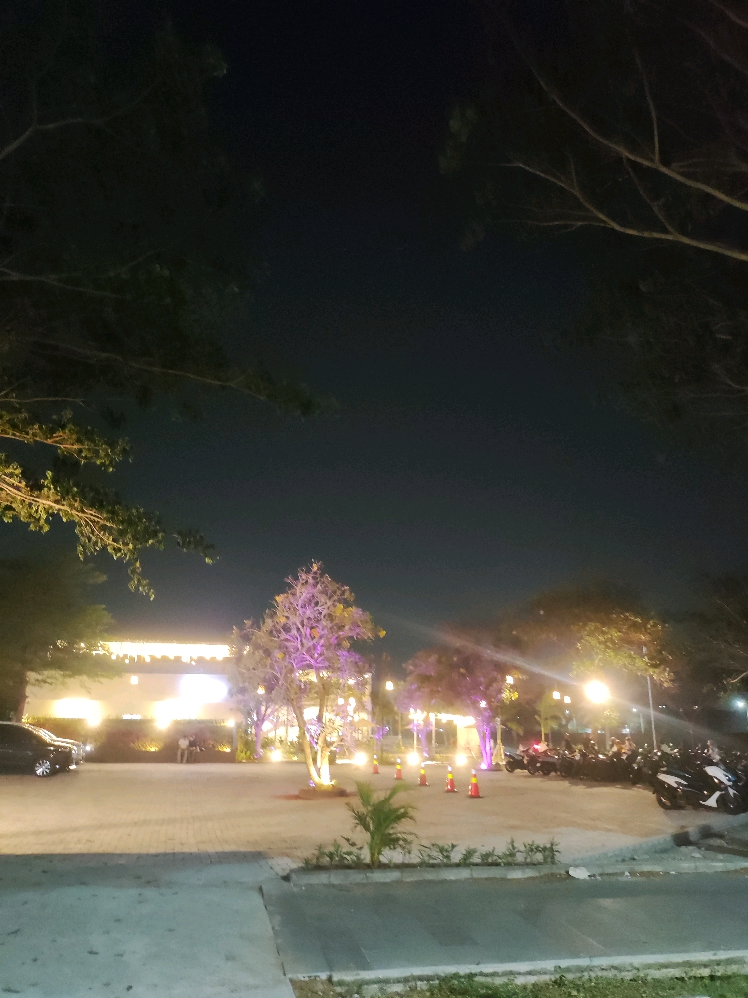 The image depicts an outdoor scene at night, possibly in Telagaasih, Indonesia, with a dark sky and artificial lighting. In the foreground, a paved area is visible with some grassy patches and concrete borders. A light-colored walkway or road is present, with a darker paved surface in front of it.
To the left, a dark-colored car is parked. Further into the scene, a building with illuminated string lights along its facade is visible. In front of the building and to the right, several trees are illuminated with purple and yellow lights. One tree in particular, with a bare, branched structure, is prominently lit in purple. Orange traffic cones are also scattered across the paved area.
To the right, a large number of motorcycles are parked, some appearing to be in a designated parking lot. Some figures, appearing to be people, are faintly visible standing near the building and among the parked motorcycles. The overall impression is that of an outdoor gathering or event space at night.