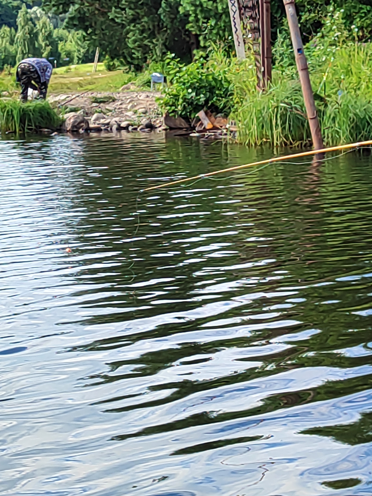 In Toksovo, Russia, a person wearing camouflage is kneeling by the edge of a body of water. They appear to be tending to fishing equipment, with a fishing rod extending across the water. The scene is set in a natural environment, with lush green trees and foliage bordering the water. The surface of the water is rippled, reflecting the surrounding greenery.