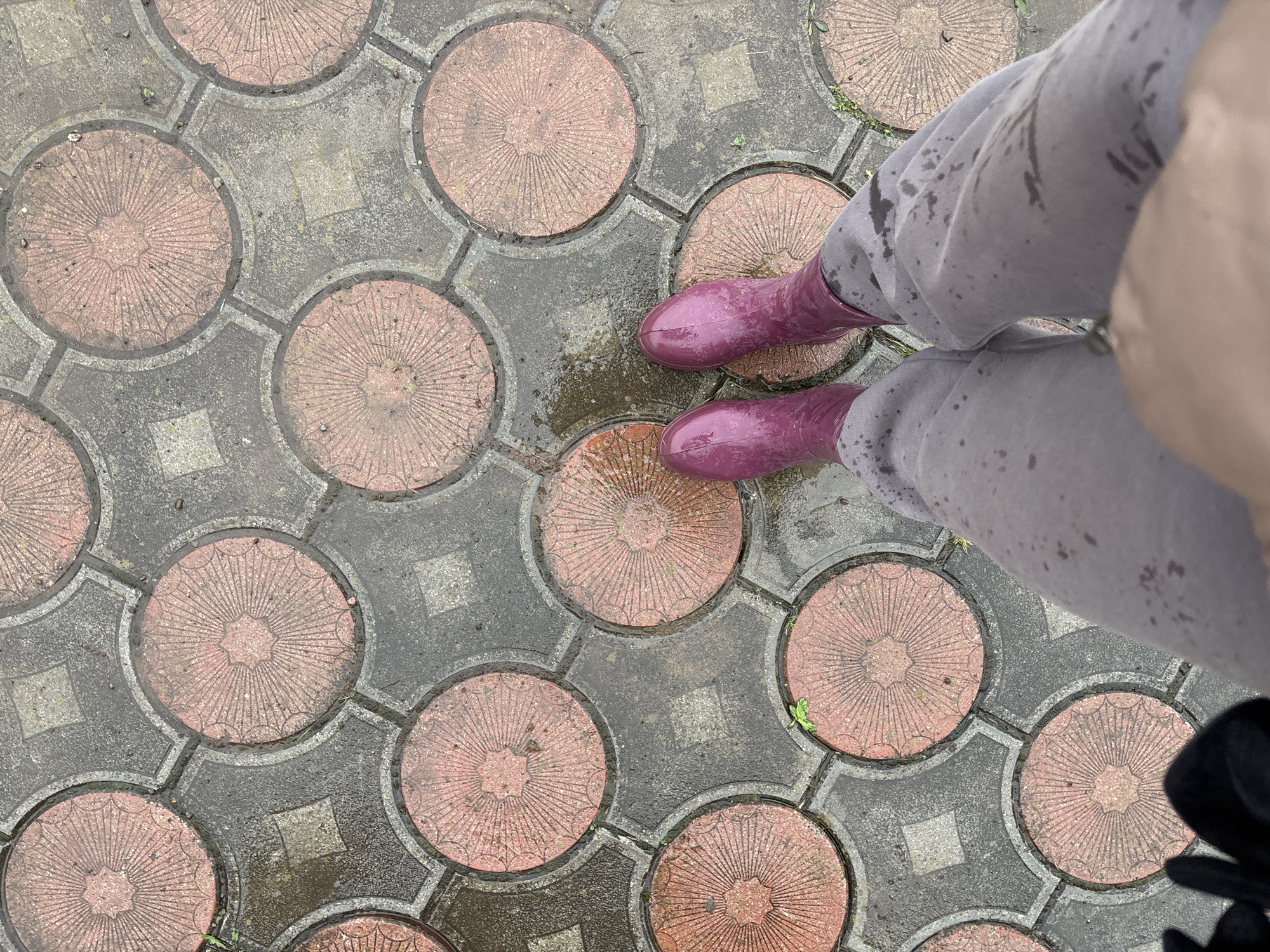 An overhead shot reveals a person standing on a wet, paved surface constructed of patterned concrete pavers, likely located in Ферма, Russia. The pavers consist of circular red-toned stones with radiating lines, surrounded by gray square-shaped stones. The person is wearing light gray pants with dark wet spots and shiny purple rubber boots. The bottom right corner shows a dark object, possibly a bag. The scene appears to be after a rain, with water puddles visible on the pavers.