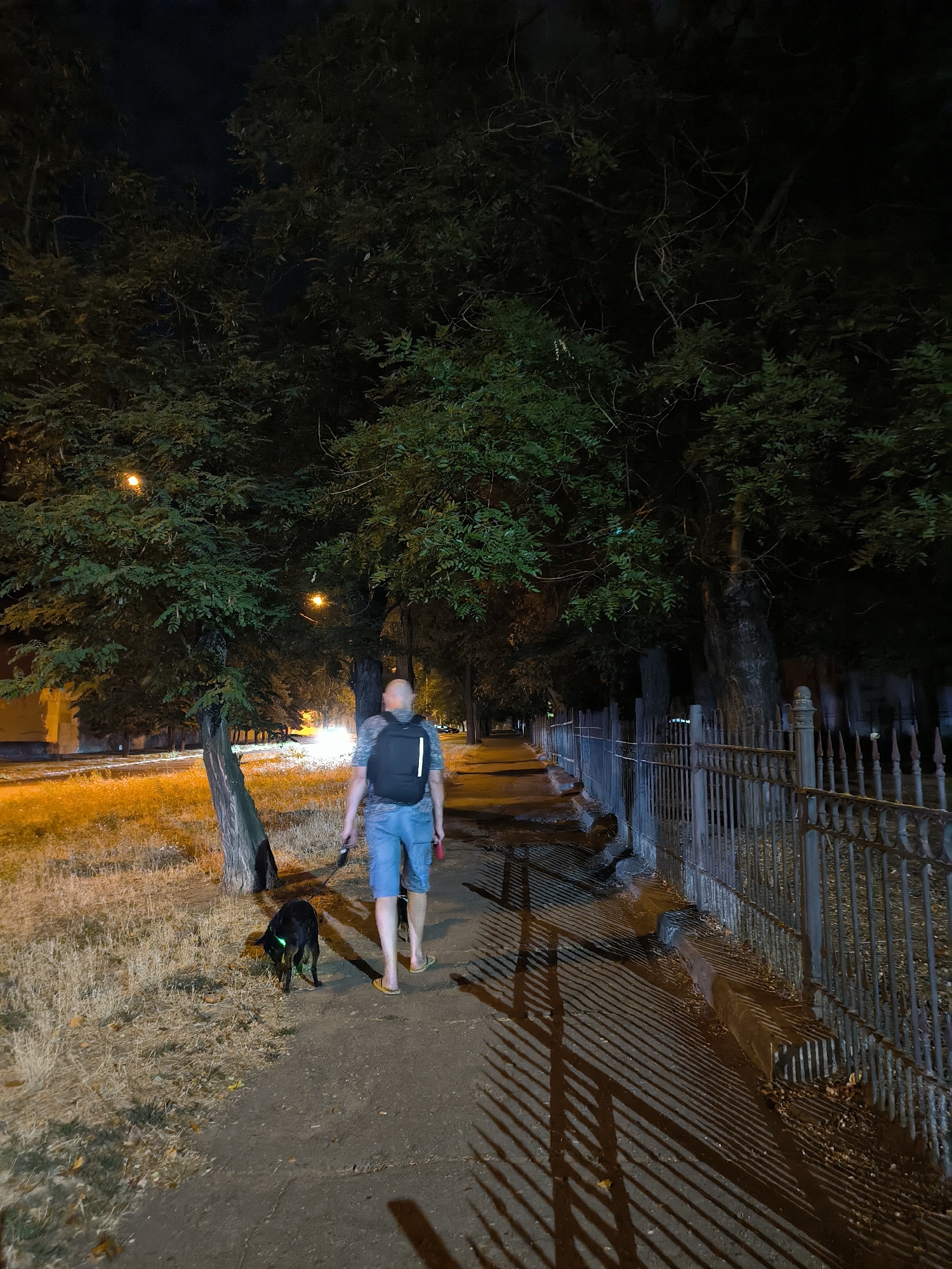 A man with a shaved head wearing a grey t-shirt, blue shorts, and flip-flops walks his black dog on a leash along a sidewalk at night. He carries a black backpack. The dog has a neon green collar. The sidewalk is next to a grassy area with dry, yellowed grass and trees. On the other side of the sidewalk is a decorative metal fence. Streetlights illuminate the scene, casting shadows on the sidewalk. In the background, there is a building with lights on and more trees. The location is a street in Mykolaiv, Ukraine.