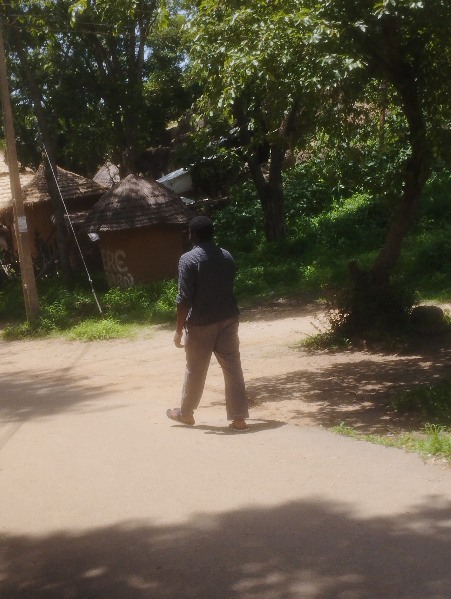 In a scene likely located in Jos, Nigeria, a solitary Black male is observed walking away from the camera down a dirt road. He is wearing a checkered long-sleeved shirt in shades of blue and grey, and light brown trousers. His footwear appears to be sandals. The man is positioned in the middle of the road, which is a light brown, sandy color. To the left of the road, there are traditional huts with thatched roofs, and a wooden pole with a white rope extending from it. Green vegetation, including grass and trees, surrounds the huts and lines the right side of the road. The trees create dappled shade on the road, indicating a sunny day. The background is dominated by dense green foliage, suggesting a rural or semi-rural setting within Jos. The overall impression is one of a typical day in a community, with elements of local architecture and natural surroundings.