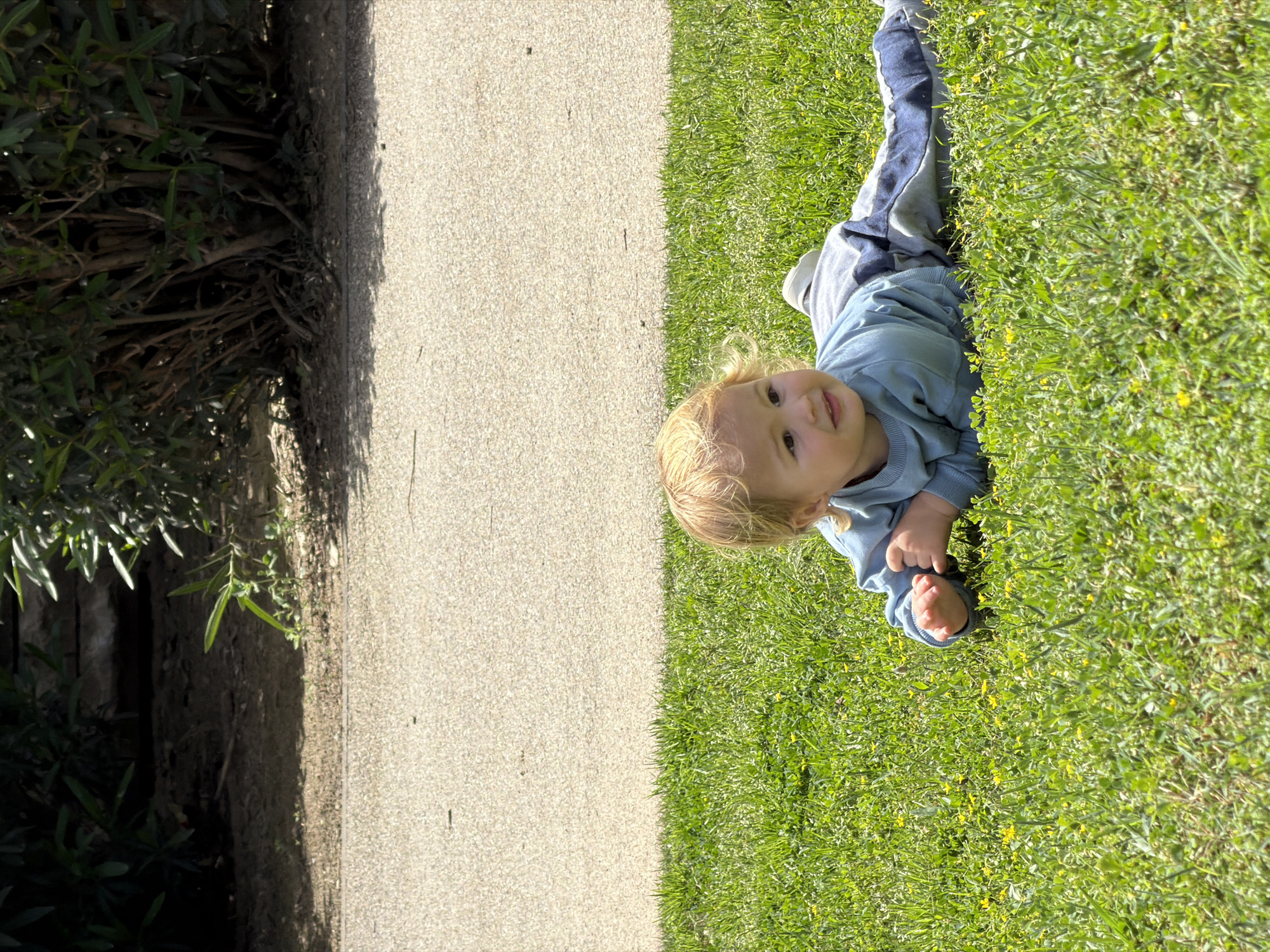 A toddler lies on the grass next to a sidewalk in Kiryat Bialik, Israel. The toddler wears a light blue long-sleeved shirt and blue and gray pants. The grass is green with small yellow flowers. The sidewalk is light gray concrete. A bush or hedge grows on the opposite side of the sidewalk.