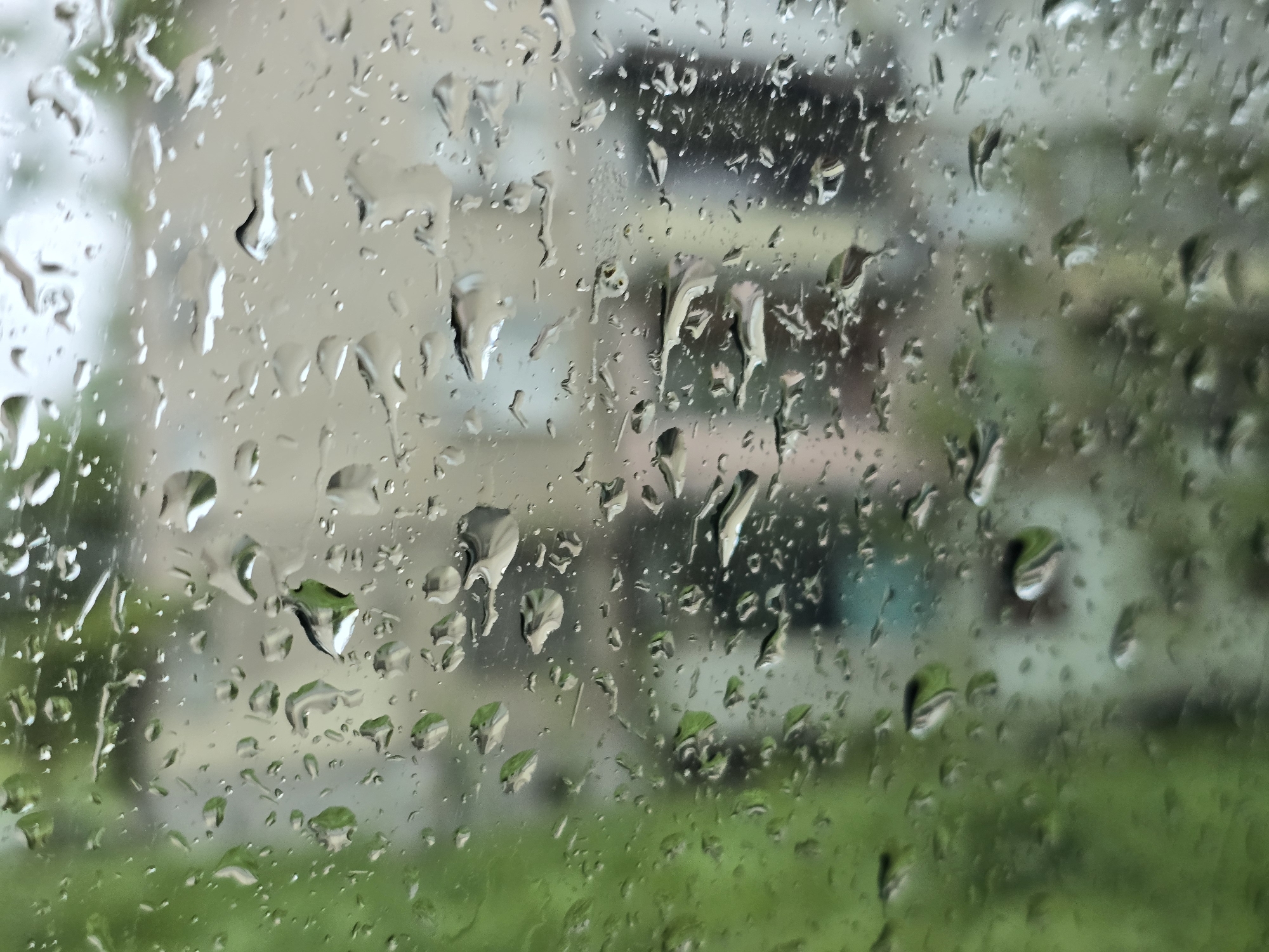 The image displays a close-up view of a window pane heavily covered in raindrops. The water droplets in the foreground are sharp and distinct, varying in size and shape, with some appearing as small beads and others as larger, elongated streaks running down the glass. These drops reflect light, creating bright, glistening highlights.
Through the wet and textured window, the background elements are significantly blurred and out of focus. In the blurred midground, a light-colored building, possibly a house or apartment structure, can be vaguely discerned, with its architectural details softened by the rain and blur. Towards the bottom and right side of the background, lush green foliage, likely trees or grass, is visible, also in a blurred state.
The scene depicts a rainy day or the immediate aftermath of rain, as indicated by the numerous raindrops on the glass. The natural lighting suggests it is daytime, possibly overcast, contributing to the soft, diffused appearance of the background. No people or discernible text are visible in the image. The overall impression is one of calm and introspection, viewed from an interior space looking out at the elements.