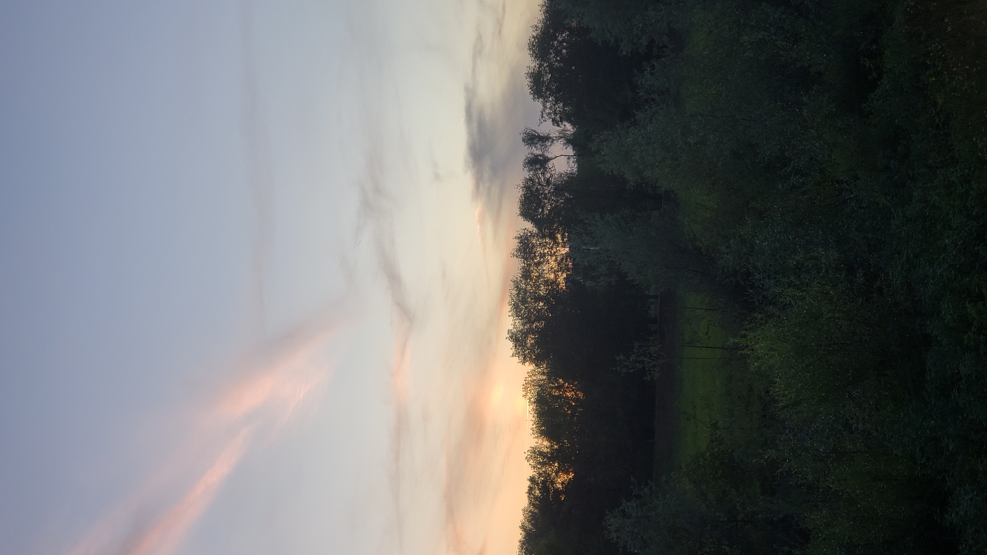 The image depicts a twilight scene with a gradient sky transitioning from light blue at the top to softer hues of pink and orange near the horizon. A thin, wispy pink cloud streaks across the upper left portion of the sky. Below the sky is a dark silhouette of trees forming a dense line across the middle ground. The foreground consists of dark, lush vegetation, likely bushes and smaller trees, which are mostly obscured in shadow. A patch of lighter green grass is visible between the foreground vegetation and the tree line. The scene appears to be an outdoor natural environment, potentially a park or a wooded area. There are no people or specific identifiable landmarks to pinpoint a location within the city of Prešov, Slovakia, but the overall setting suggests a tranquil, natural landscape at dusk.