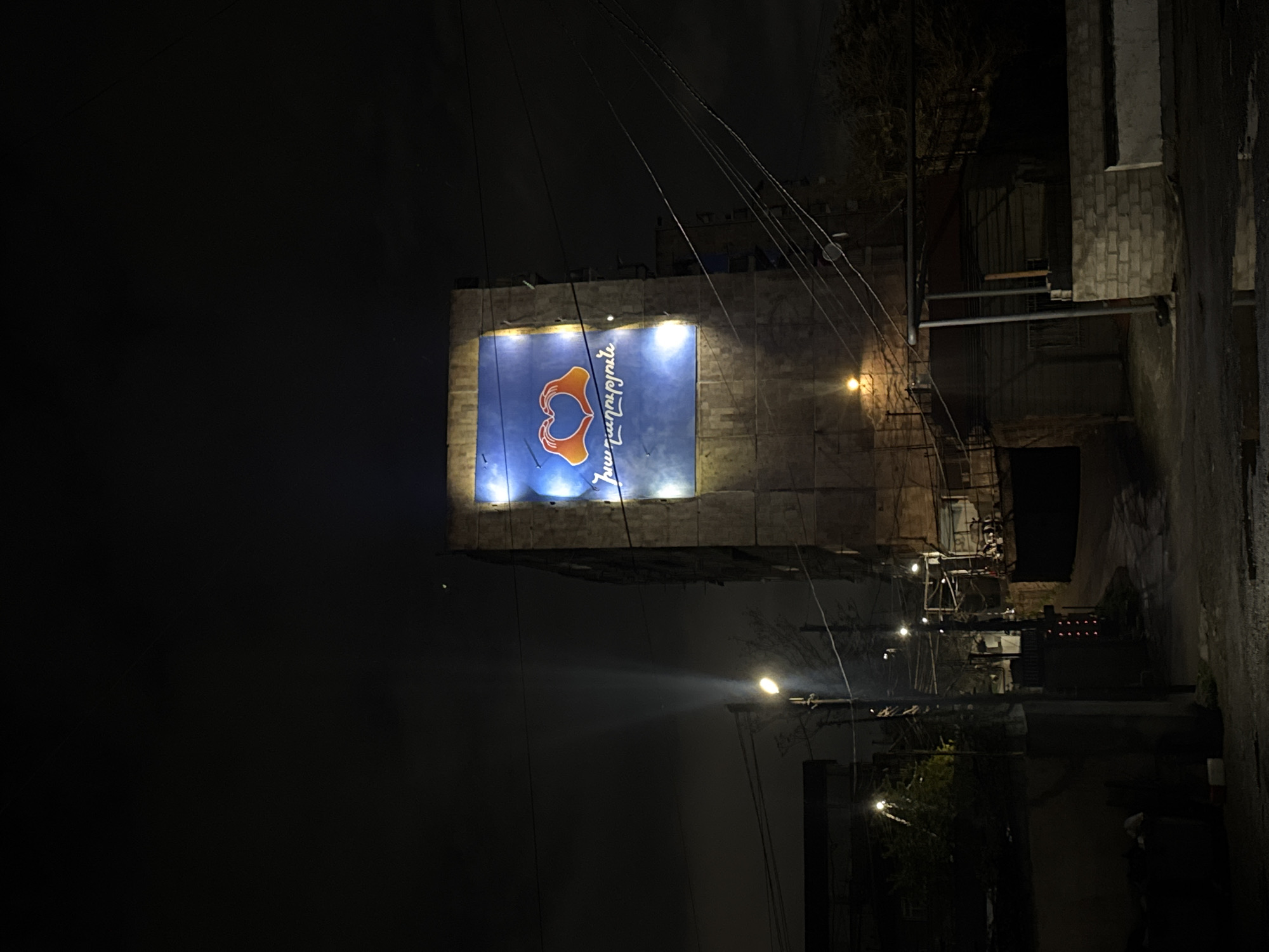 The image presents a nighttime urban scene in Yerevan, Armenia. The central and most prominent feature is a large, brightly illuminated billboard mounted on a building. The billboard is blue and displays a graphic of two hands forming a heart shape, rendered in an orange or golden color. To the right of this heart logo, vertically written in Armenian script, is the text "Հարսանյաց սրահ," which translates to "Wedding Salon" or "Wedding Hall."
The time of day is clearly night, evidenced by the dark sky and the reliance on artificial lighting. Several streetlights or exterior lamps are visible throughout the frame, casting a warm yellow glow and creating visible light beams, suggesting some atmospheric haze or mist. Numerous overhead power lines or communication cables crisscross the upper and central portions of the image.
The billboard is situated on a building constructed from rough, block-like materials, possibly concrete or stone. Other dark building structures and architectural elements are visible on the right side of the frame. Sparse, bare tree branches are discernible against the dark sky, particularly to the left of the billboard. The ground or a street surface, appearing dark and possibly wet, is visible on the far right. No people or specific activities are depicted, giving the scene a quiet and still ambiance.