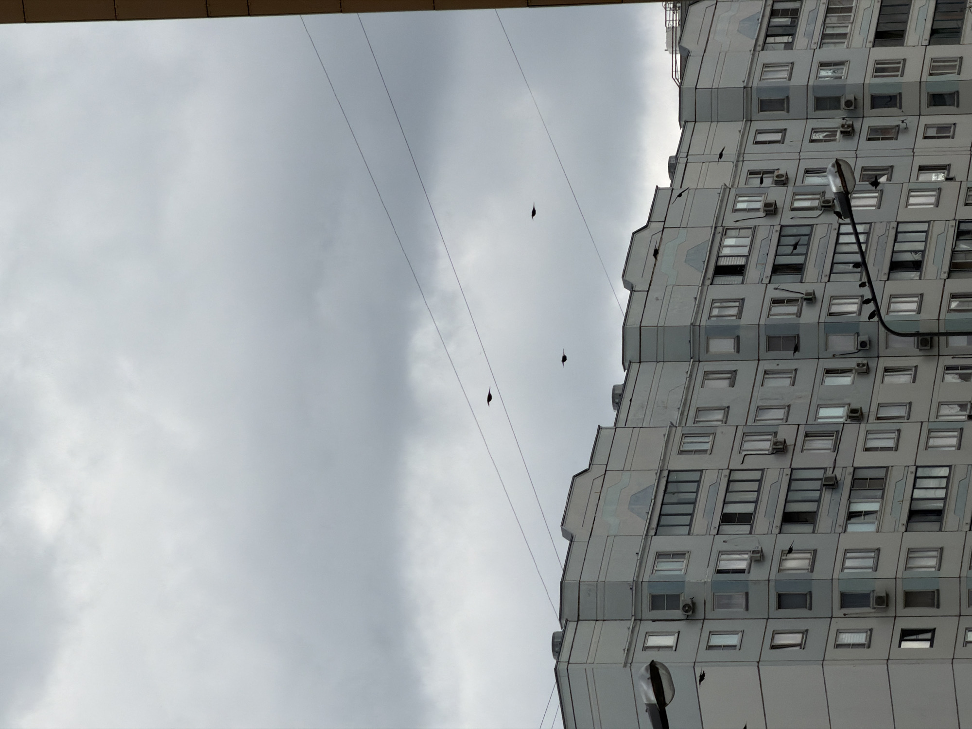 The image shows a wide shot of a pale blue apartment building in Khimki, Russia, under a cloudy sky. There are three dark birds flying in the sky, and several birds perched on a streetlight pole in the foreground. The building has many windows and air conditioning units, and some of the windows are open. The sky is overcast and grey.