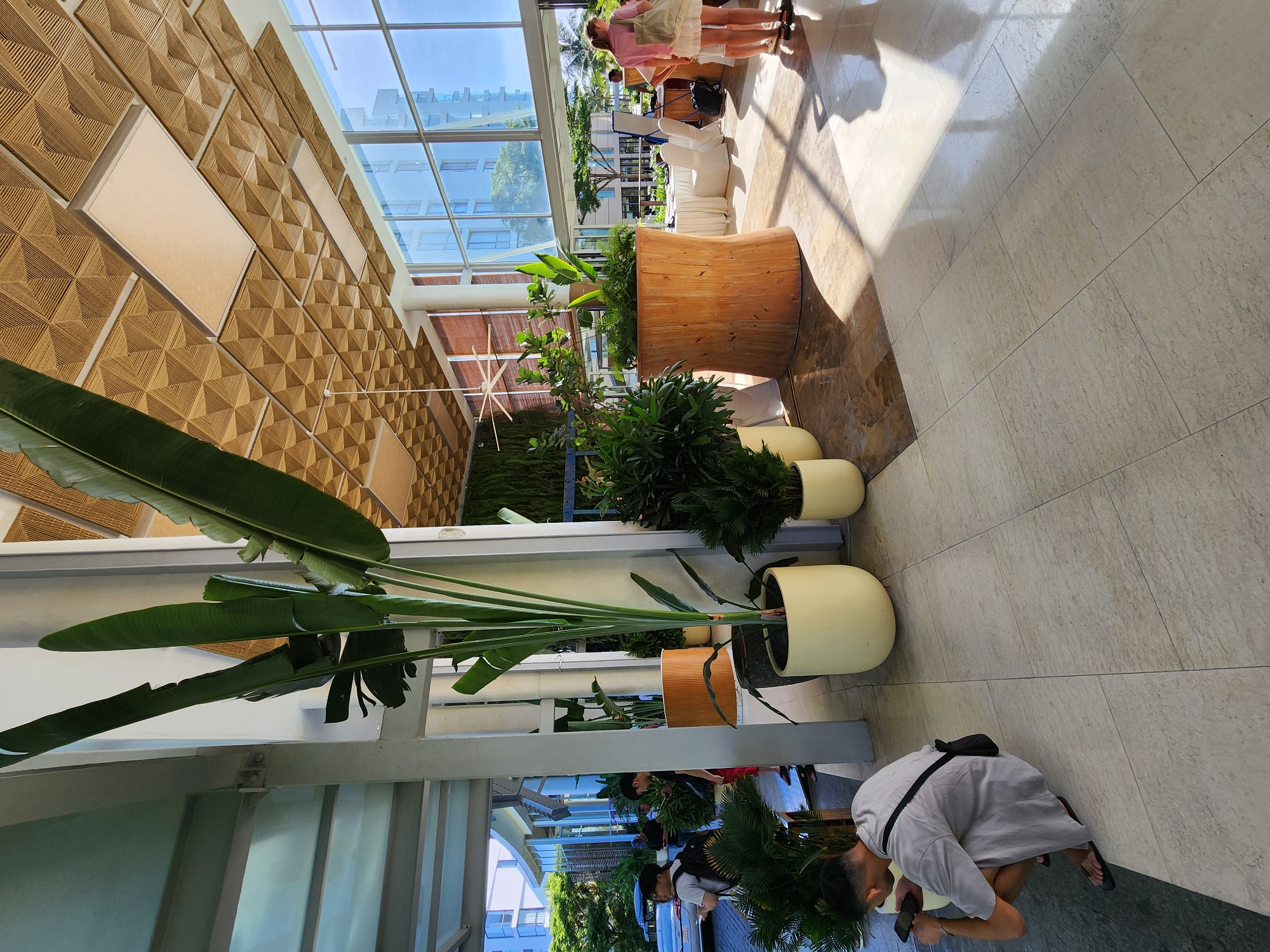The image depicts the lobby of a modern building in Đà Nẵng, Vietnam, characterized by its spaciousness, natural light, and abundant greenery. The ceiling features a unique geometric design with wooden panels and embedded lighting, creating an intricate pattern that draws the eye. Large glass windows offer views of the city and surrounding vegetation.
In the foreground, a man is crouched on the tiled floor, looking at his phone. He is wearing a light-colored t-shirt and shorts, with a small bag slung over his shoulder. To his left, a large potted plant with broad green leaves stands prominently.
Further into the lobby, several other potted plants of varying sizes are strategically placed, adding to the tropical ambiance. One large, wooden planter holds a dense arrangement of greenery. In the background, a reception or event area is visible, with white-covered tables and chairs. Two women, one in a pink shirt and the other in white, are standing near this area.
The architectural style suggests a contemporary hotel, convention center, or upscale commercial space, designed to incorporate natural elements and provide a welcoming atmosphere. The sunlight streaming through the windows casts distinct shadows on the polished floor, highlighting the textures and surfaces within the space. The overall impression is one of a well-maintained, stylish, and inviting indoor environment.