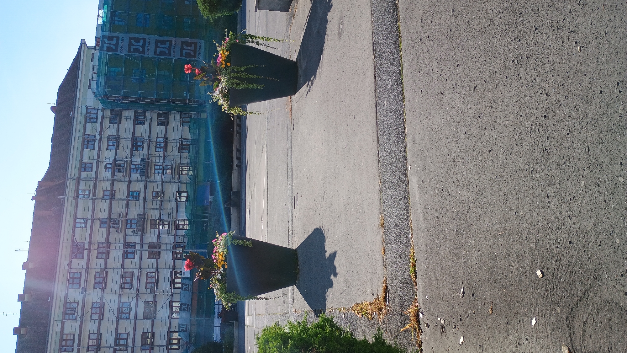 The image depicts a sunny outdoor scene in Sokolov, Czechia, focusing on two large, dark planters filled with flowers. The planters are positioned on a paved surface, with one on the left and another further to the right. The planter on the left is closer to the camera and is partially obscured by a green bush on its left side. Both planters have vibrant flowers and trailing greenery.
In the background, a multi-story building covered in scaffolding and blue netting dominates the view. The building has numerous windows and a tiled roof. To the right of this building, another structure, also partially covered in netting with visible corporate logos, is present. The sky is clear and blue, with a noticeable sun flare in the upper left quadrant of the image. The ground in the foreground is asphalt, with some debris and dry grass visible along the edges. The overall impression is a cityscape with ongoing construction or renovation work.