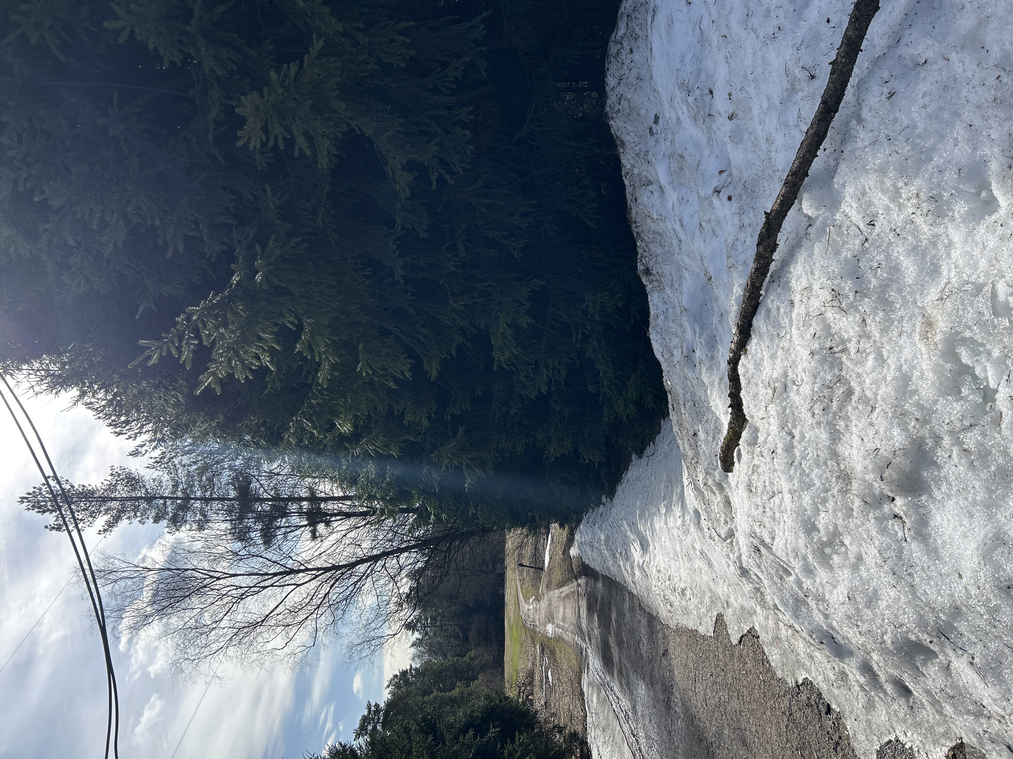 The image shows a snow-lined road in a wooded area. On the right, a bank of melting snow is visible, with a fallen branch resting on its surface. The road itself appears muddy in places. To the left of the road, a dense forest with evergreens extends upwards. In the distance, a path or trail leads through the trees. Overhead, power lines are visible against a backdrop of blue sky and scattered clouds. Given the presence of snow and coniferous trees, it is reasonable to assume this scene could be from the outskirts of Moscow, Russia, but there is not enough information to positively verify the exact location.