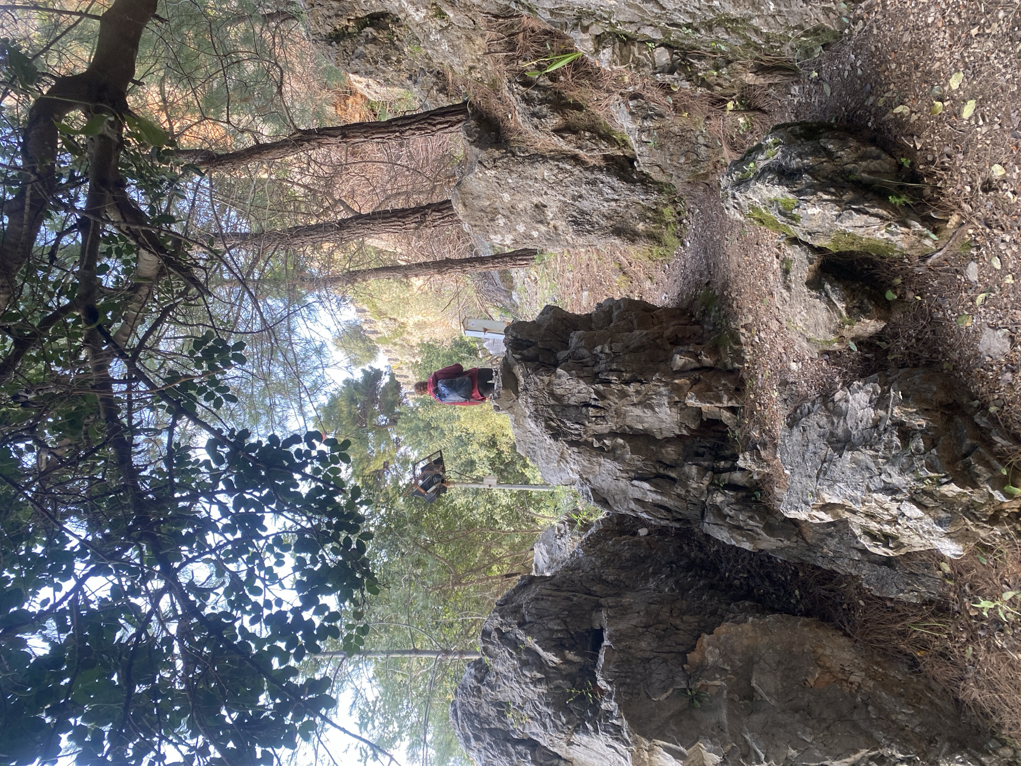 The image shows a rocky, forested area in Alanya, Turkey. A person wearing a red jacket stands on a rock formation. A metal signpost is positioned nearby. The surrounding environment is characterized by trees, rocks, and a path. The perspective is from below, looking upwards at the scene.