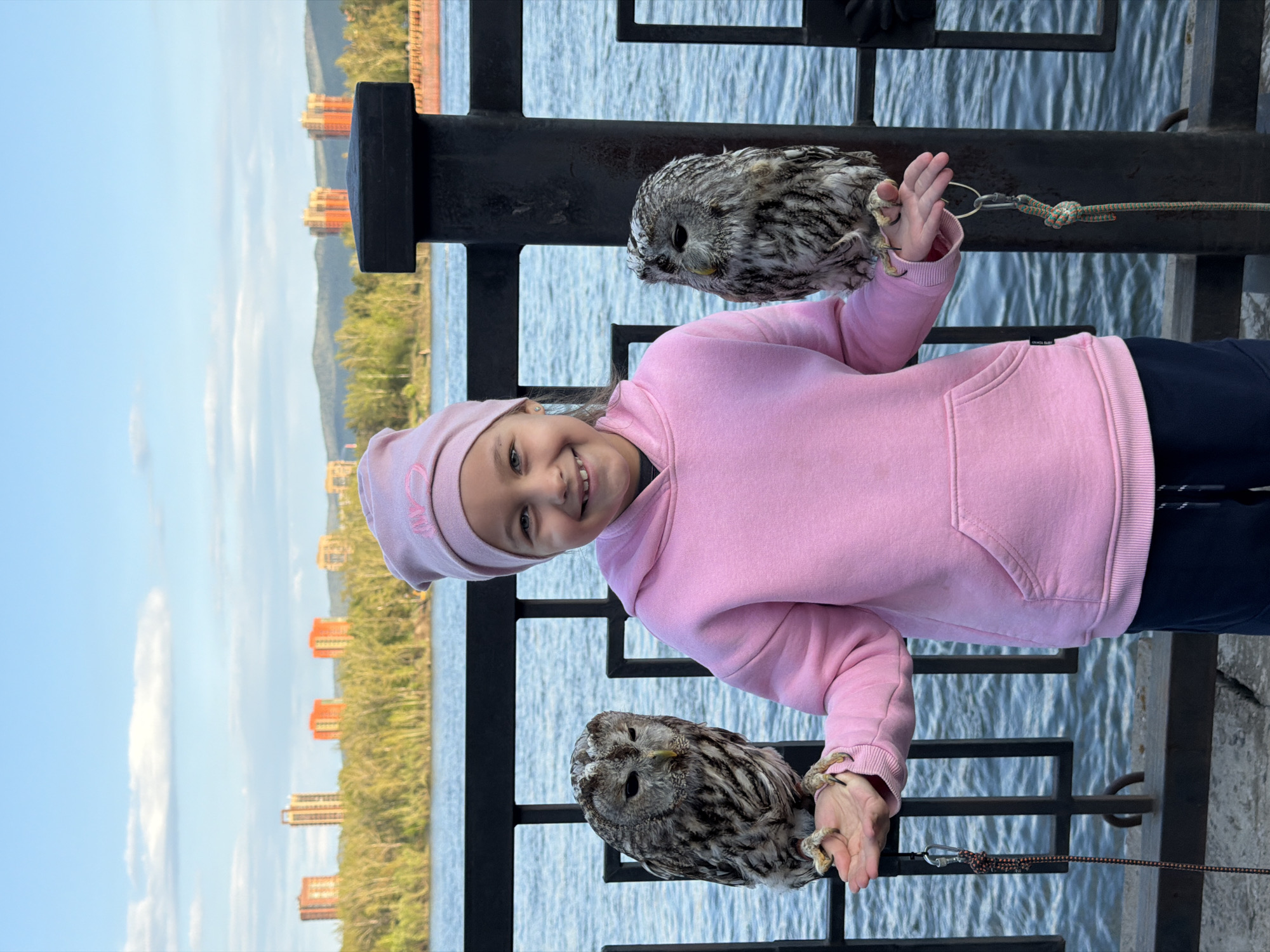 A medium, outdoor shot presents a young girl holding two tawny owls while standing in front of a metal railing, likely at a waterfront location. The girl has fair skin, light brown hair, and is wearing a pink hoodie with matching hat and dark pants. She is smiling directly at the camera. The two tawny owls, which appear to have leather straps around their feet, rest on the girl’s hands.
The background features a body of water and greenery, with tall buildings visible across the water. The architectural style and general landscape suggest that the location is in the city of Krasnoyarsk, Russia. The sky is visible in the upper left corner of the image.