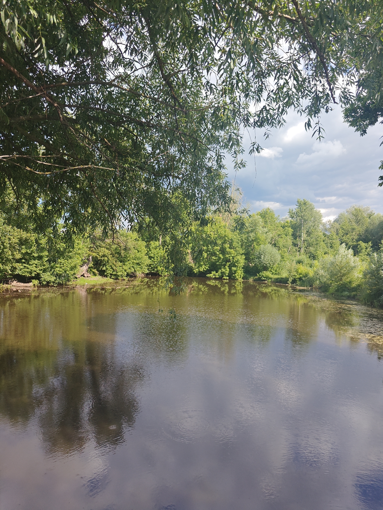 The image depicts a serene natural landscape with a body of water, likely a pond or lake, surrounded by lush green trees. The foreground is dominated by the dark, reflective surface of the water, which mirrors the trees and the sky. Overhanging branches with green leaves frame the top portion of the image, creating a sense of enclosure. The background features a dense line of trees along the water's edge, with varied shades of green indicating different types of foliage and the play of light and shadow. The sky above is partly cloudy, with patches of blue visible between the white and gray clouds. The scene is set in Kotelva, Ukraine, presenting a tranquil natural setting typical of the region. There are no people or animals visible in the image.