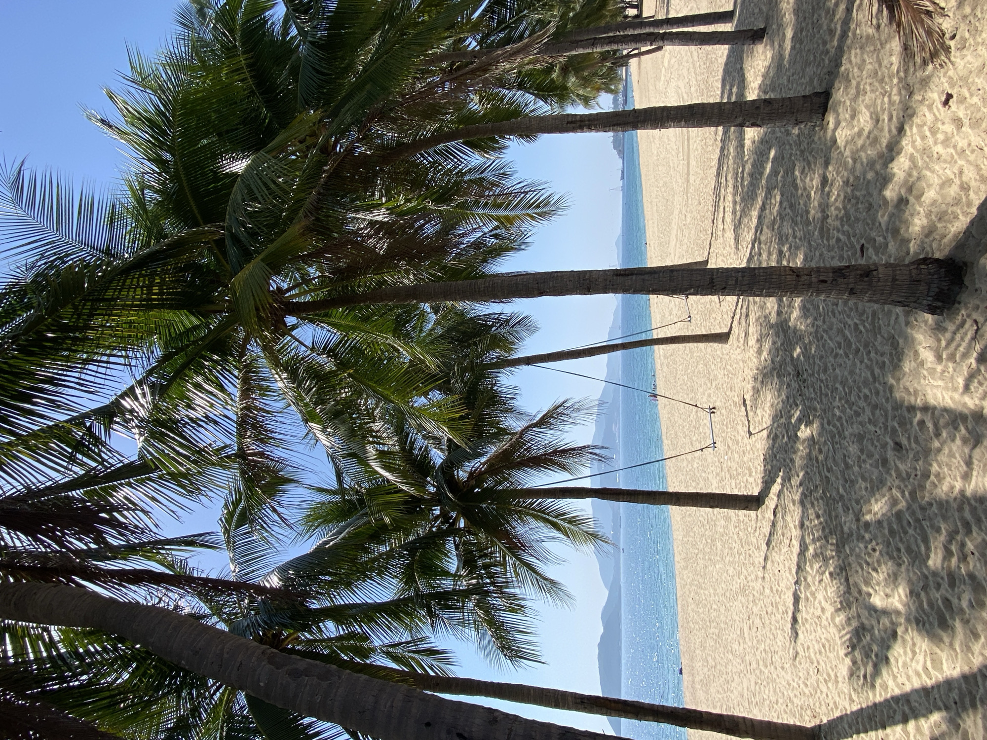 This image depicts a sunny day on a tropical beach, likely in Nha Trang, Vietnam, characterized by a row of prominent coconut palm trees lining the sandy shore. The palm trees, with their rough trunks and lush green fronds, cast dappled shadows across the light-colored sand. In the background, the calm, blue ocean stretches towards a distant horizon where hazy mountains are visible. The water is clear and reflects the bright sky, with a few small boats and a larger vessel suggested in the distance. On the beach itself, a simple swing set made of two palm trees and a wooden plank is visible, implying a recreational area. A few distant figures can be seen on the beach and in the water, suggesting a peaceful and relatively uncrowded atmosphere. The overall impression is one of a serene and idyllic beach scene, typical of coastal resorts in Vietnam.