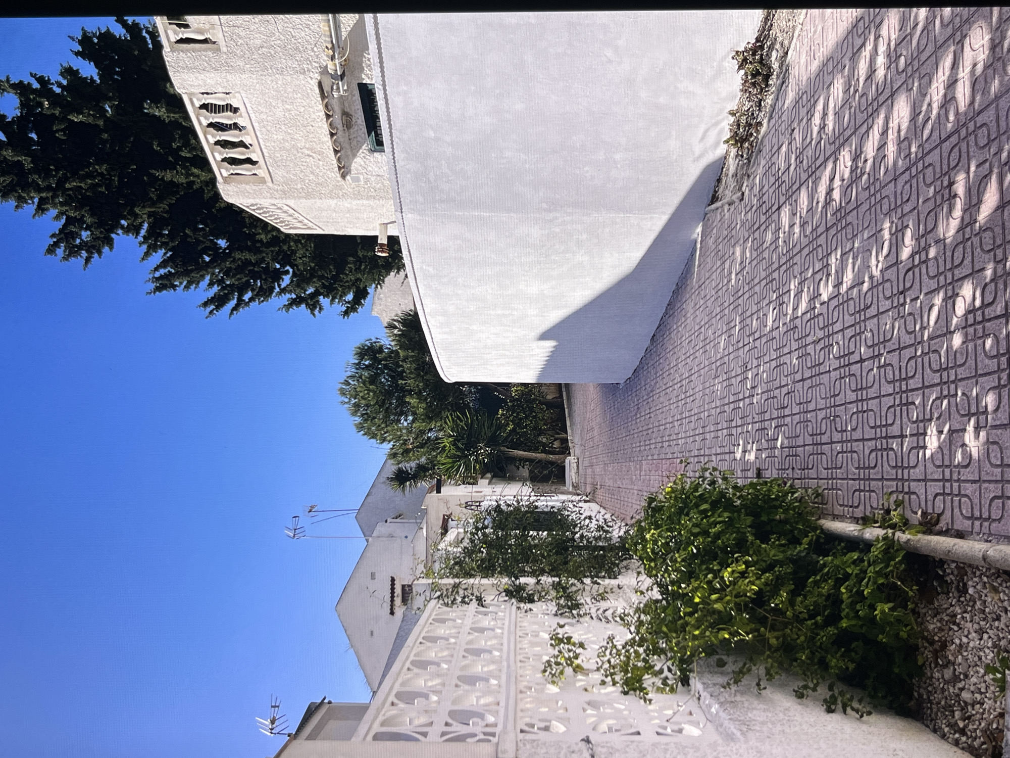 This is a street-level, eye-level, full-shot photograph taken in Torrevieja, Spain. The scene depicts a paved pathway with a distinctive geometric tile pattern, leading between a white patterned fence on the left and a curved white wall on the right. Lush green bushes and small plants grow along the base of the fence and wall. In the background, several white buildings with sloped roofs are visible, along with trees. The sky above is a clear, bright blue. The lighting suggests it is daytime, with sunlight casting shadows on the pathway.