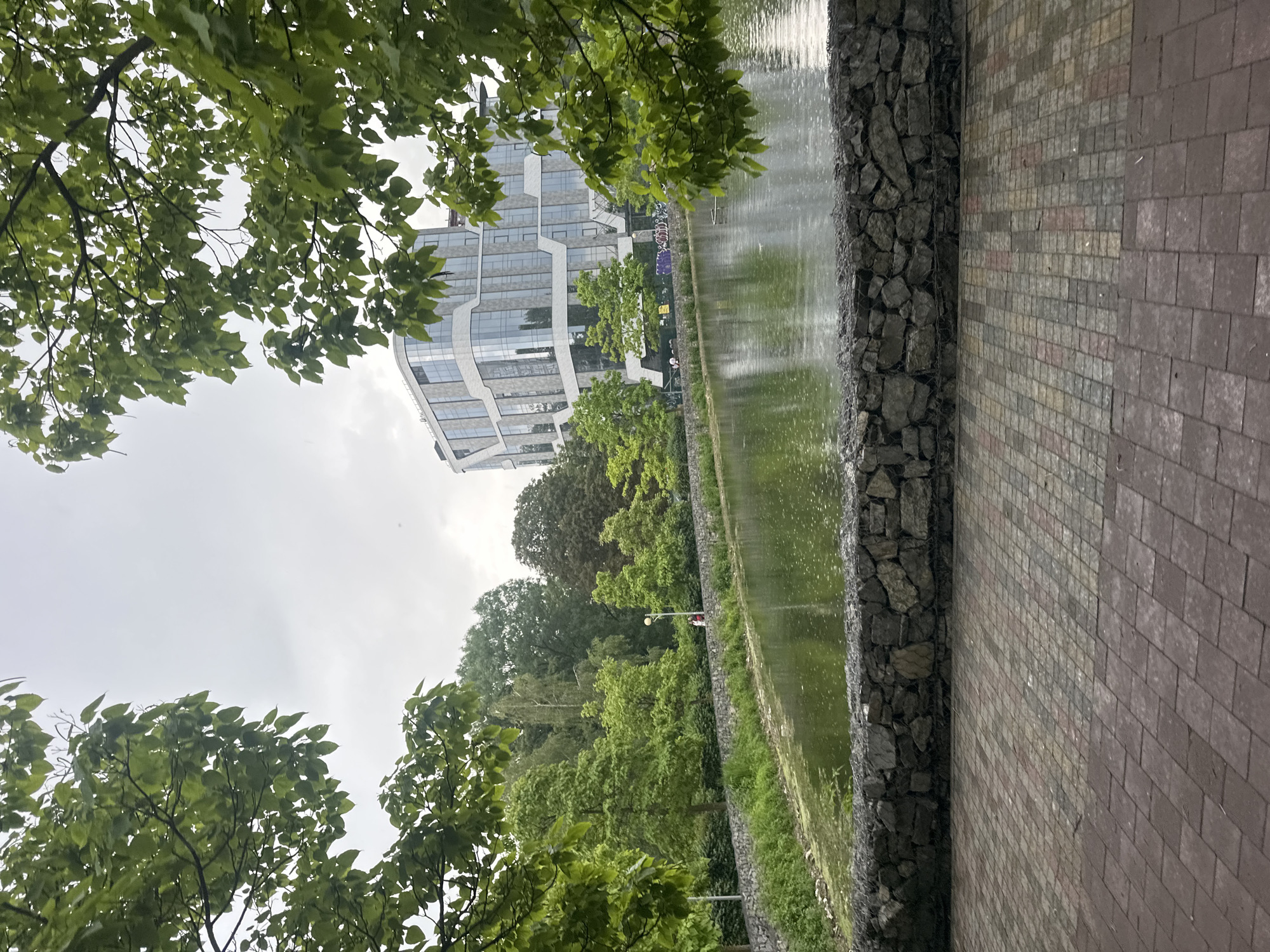 The image depicts a serene waterscape and cityscape, likely situated in Ternopil, Ukraine. In the foreground, a paved walkway made of interlocking bricks transitions from a lighter, multi-colored pattern to a darker, rectangular stone pattern. Beyond the walkway, a low, textured wall constructed of rough stones borders a calm body of water. The water is a murky green, with some aquatic vegetation visible along the edge and small ripples on its surface, suggesting a light rain or breeze.
The middle ground features a lush, verdant bank with dense green foliage and trees bordering the water. A stone retaining wall with wire mesh encloses the embankment. Further back, a modern, multi-story building with a distinctive curvilinear design and large glass windows stands prominently. The building's facade is a mix of white and gray panels, reflecting the overcast sky.
The background is filled with a dense array of trees, varying in shades of green, with some darker foliage suggesting mature trees. A lamppost is visible along the tree line, and two figures, seemingly people, are walking near the water's edge. The sky is overcast and appears a uniform grey, contributing to the subdued atmosphere of the scene. The overall impression is one of a peaceful urban park or waterfront area, harmoniously blending natural elements with modern architecture.