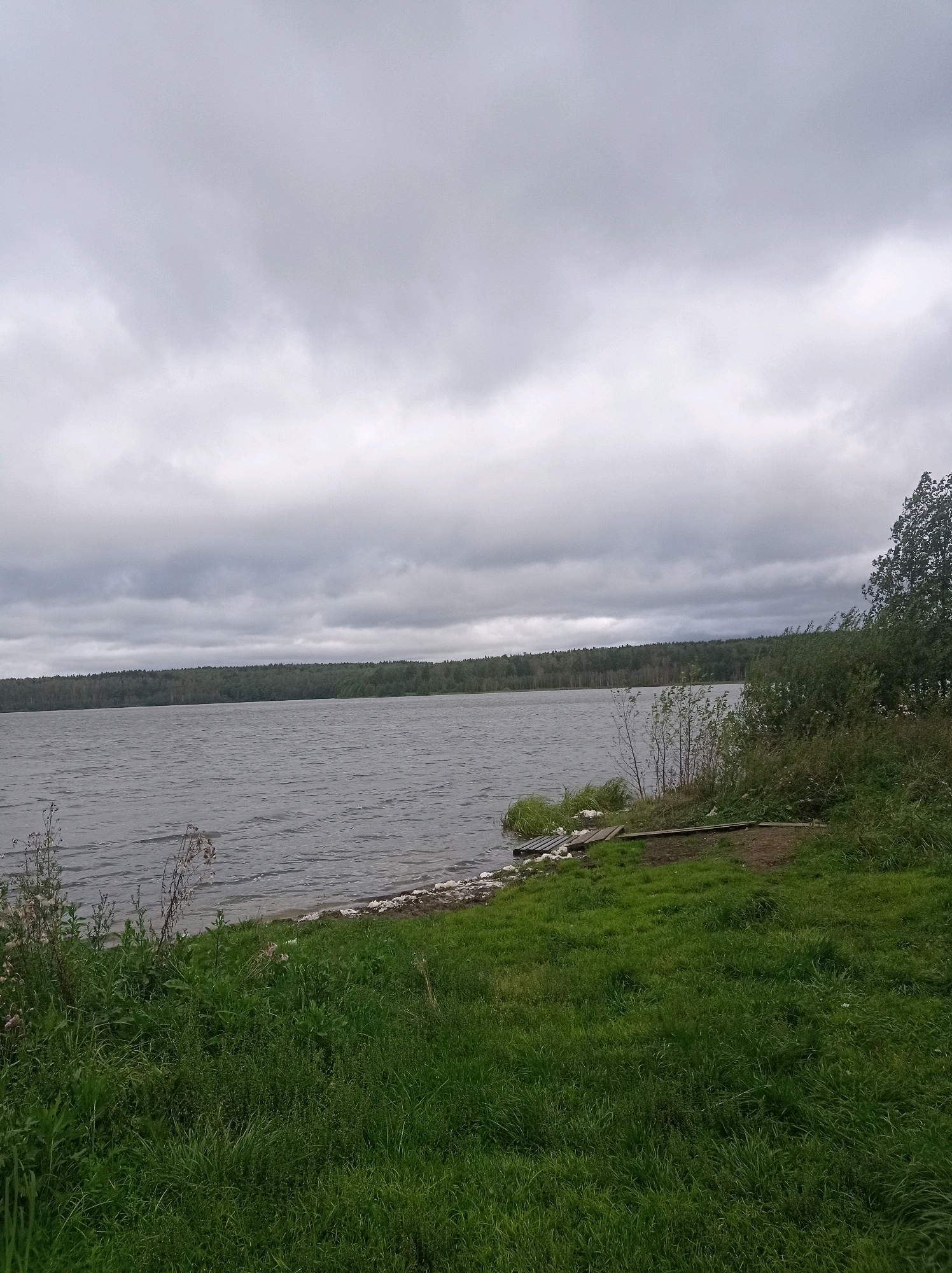 The image depicts a cloudy day scene at a body of water, likely a lake or large river, in Degtyarsk, Russia. In the foreground, there is a grassy embankment with tall green grass and some dry weeds. A small wooden structure, appearing to be a makeshift pier or a section of a dock, is partially visible at the water's edge, with some white debris or rocks scattered nearby. The water itself is calm with visible ripples. Across the water, a dense line of dark green trees forms a forest that stretches horizontally across the frame. The sky is overcast with thick gray clouds. The overall impression is of a natural, somewhat unkempt, outdoor environment.
