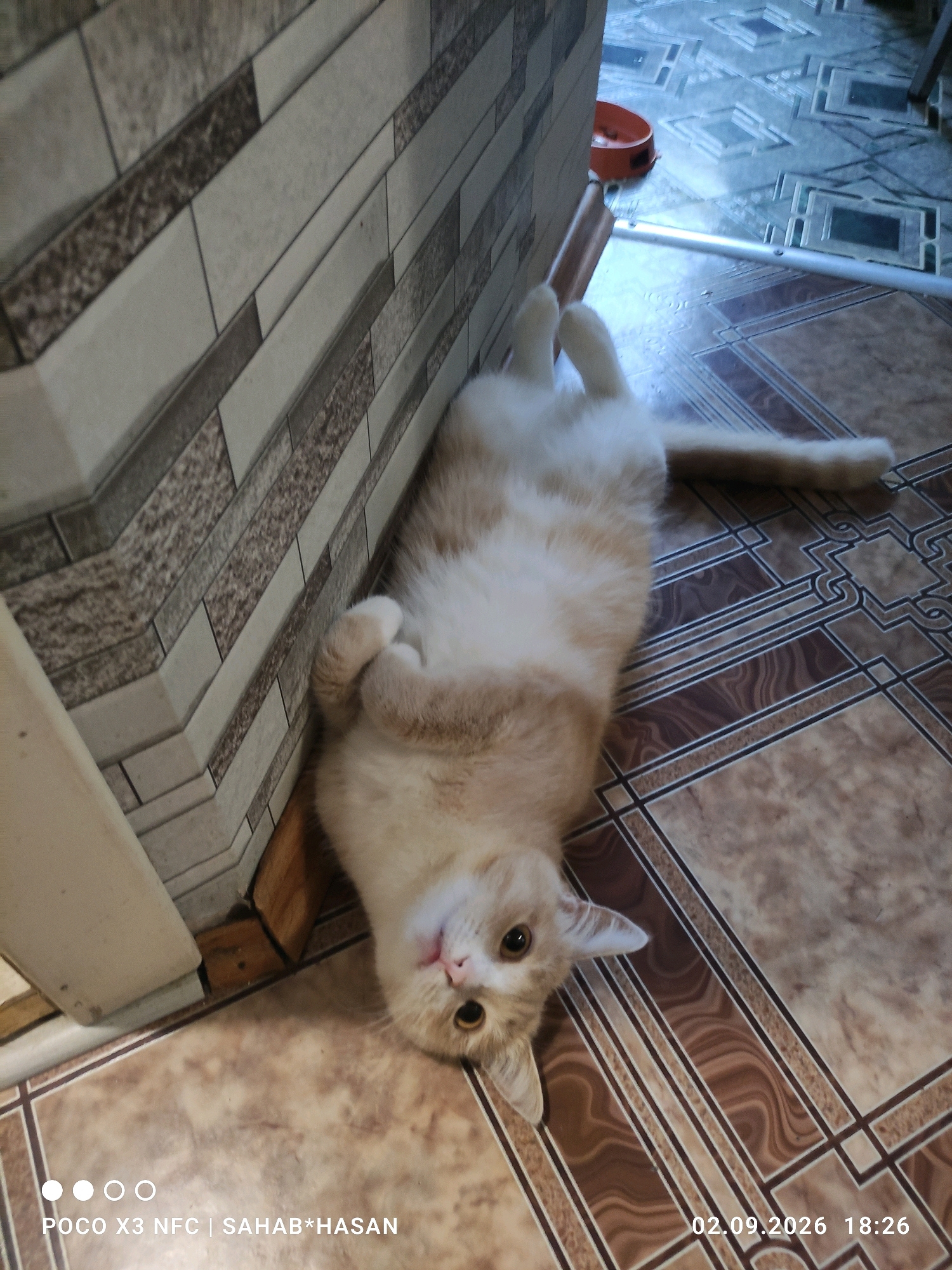A ginger and white cat is lying on its back on a tiled floor, with its paws up and head tilted to the side. The cat appears to be looking at the camera with large, dark eyes. The floor is covered in brown and beige tiles with a decorative pattern. The cat is leaning against a wall that is also tiled with a pattern of grey and beige rectangles. To the left of the cat, a white doorframe is visible. In the background, to the right, a red pet bowl and a metal pole are visible on a different tiled floor. The lighting suggests an indoor environment. The timestamp in the lower right corner indicates the image was taken on 02.09.2026 at 18:26. The lower left corner displays "POCO X3 NFC | SAHAB*HASAN". The image does not provide any specific visual cues to indicate its location in Kostroma, Russia.