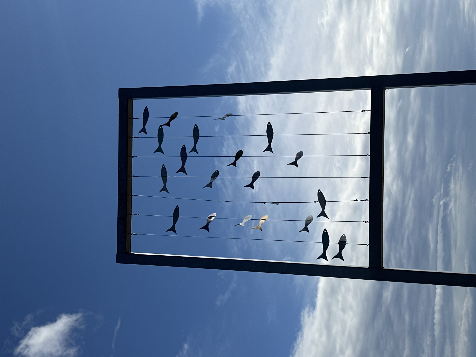 This image depicts an outdoor sculpture featuring numerous metallic fish suspended by wires against a bright blue sky with scattered clouds. The sculpture is framed by a dark, rectangular metal structure. The fish are depicted in various sizes and orientations, suggesting movement as if swimming. Some of the fish are dark silhouettes, while others have a reflective metallic sheen. The sculpture is located in Zelenogorsk, Russia.