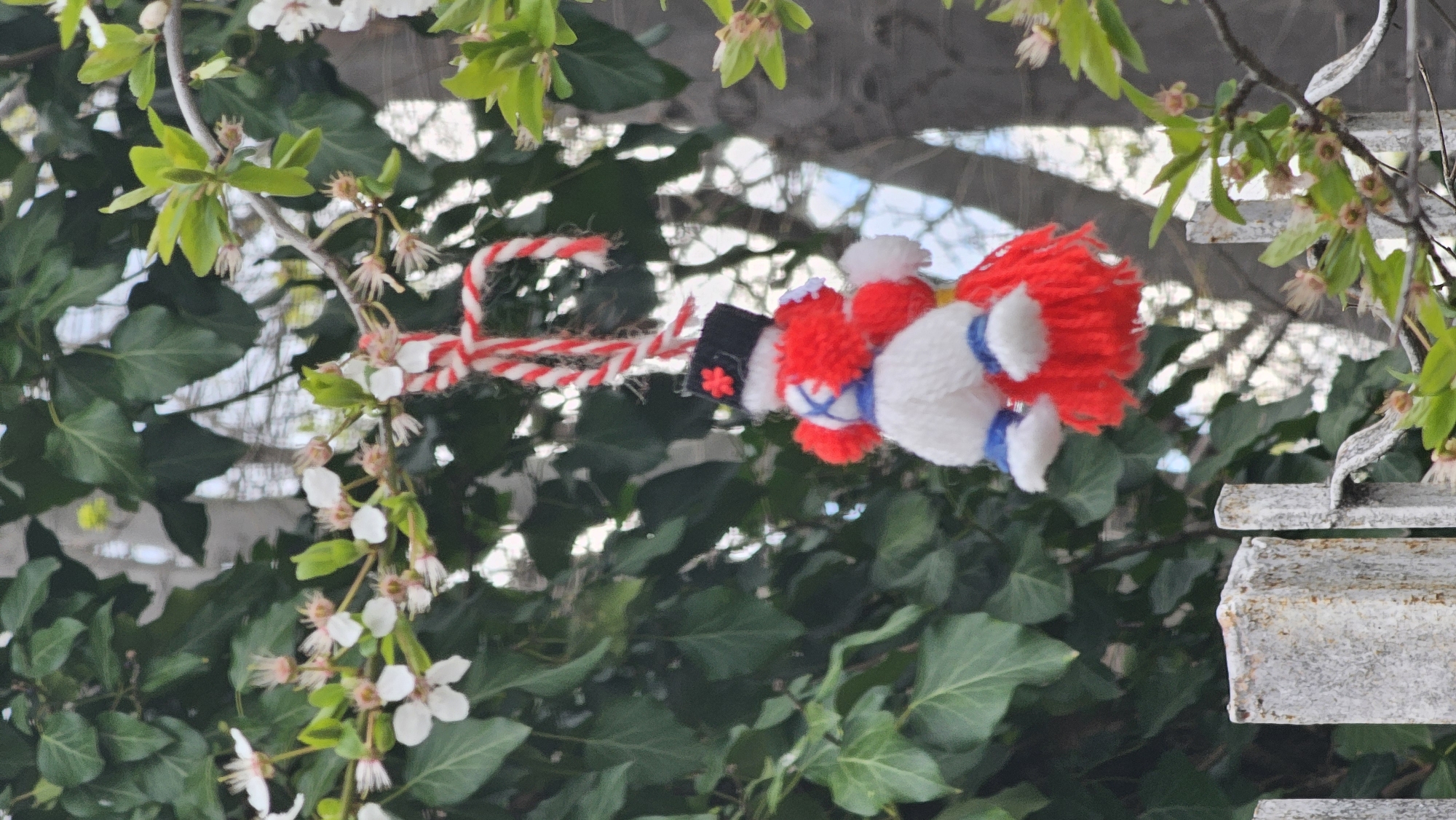 A Martenitsa doll hangs among foliage, a traditional Bulgarian symbol of spring. The doll is constructed of red and white yarn, with red yarn forming its hair. It has a black hat with an ornamental design. The doll is suspended by a red and white twisted string, typical of Martenitsas. The surrounding foliage consists of flowering plants and green vines. The scene suggests a garden or a park setting. Location: Varna, Bulgaria.